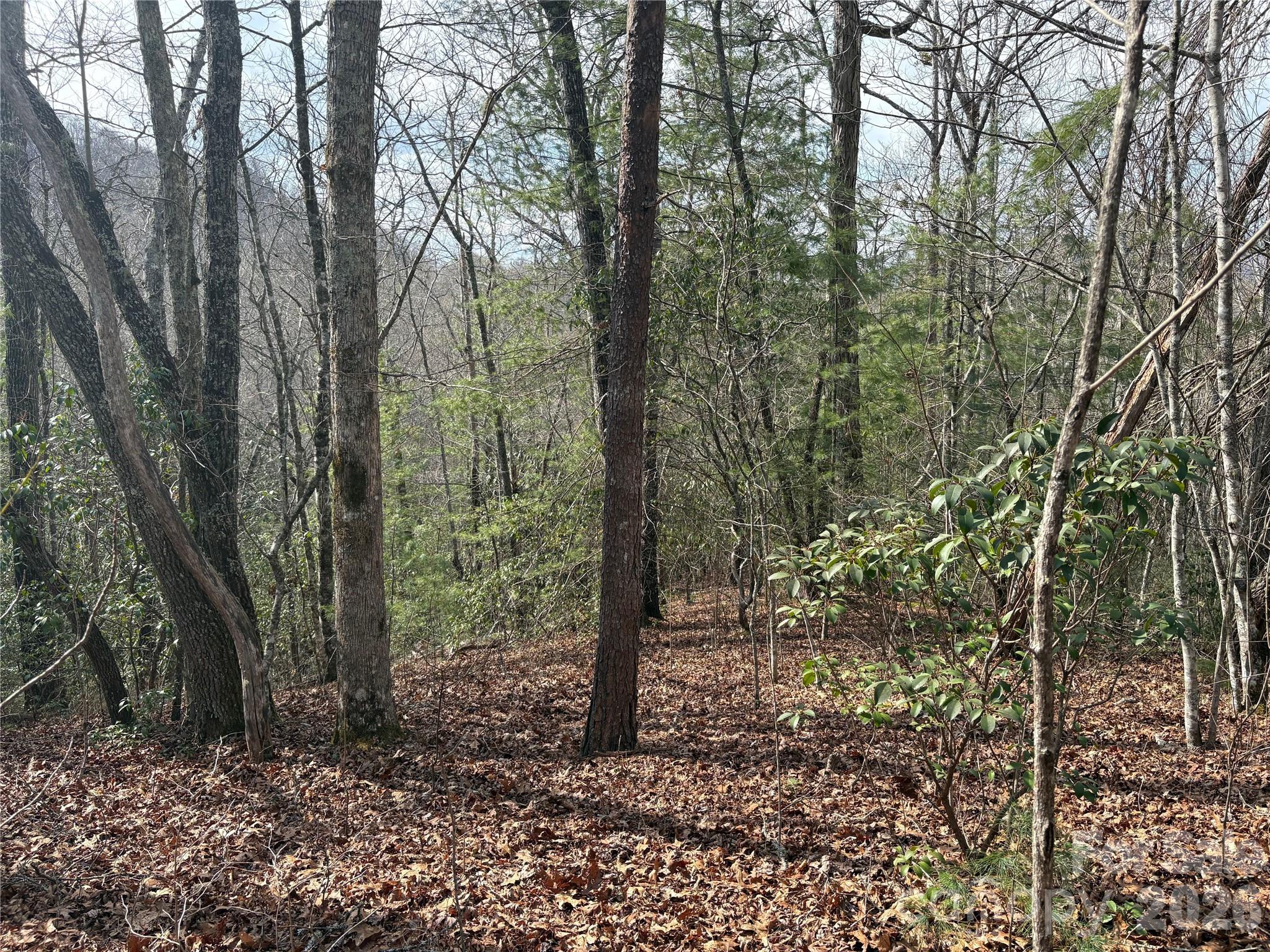 00 Round Hill Road 14 Property Photo 14