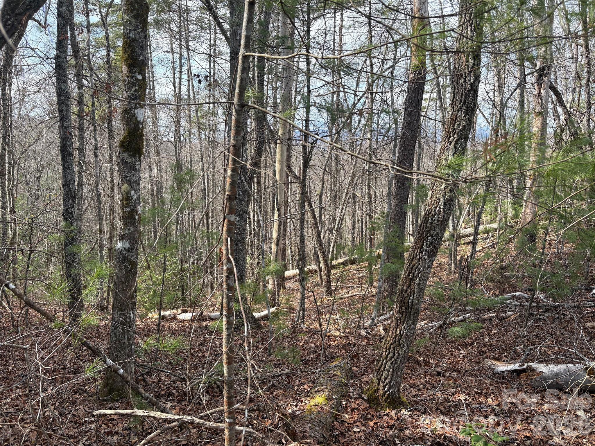 00 Round Hill Road 14 Property Photo 16