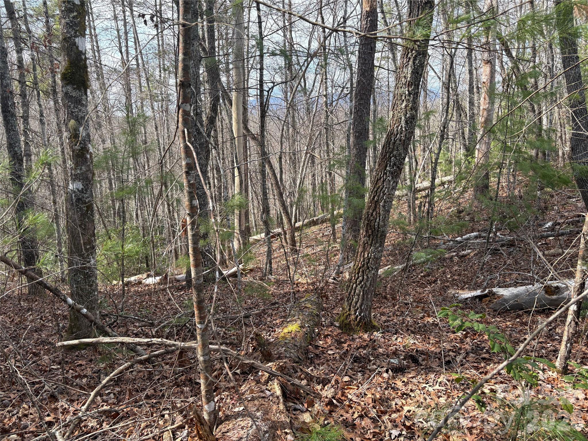 00 Round Hill Road 14 Property Photo 17