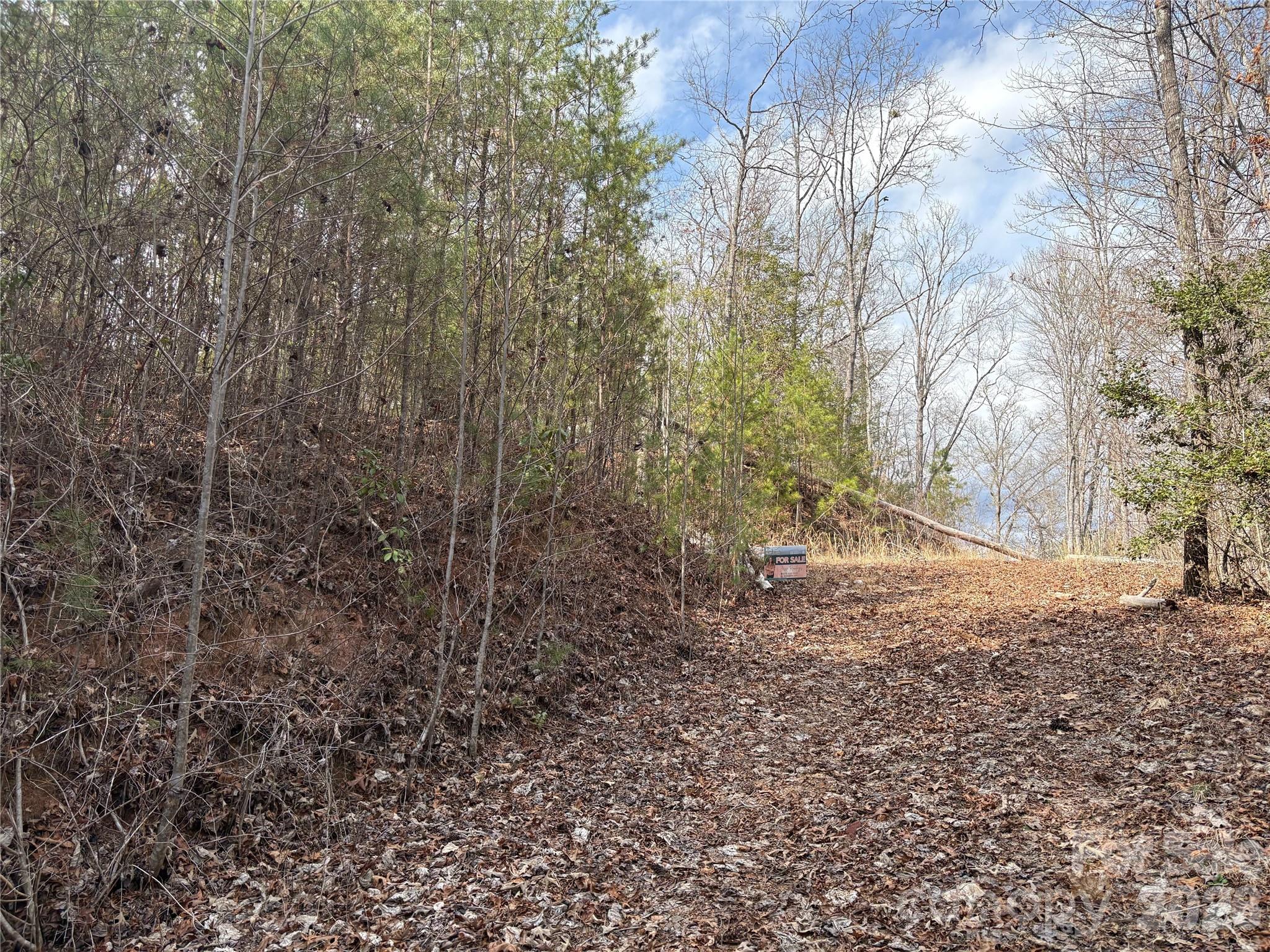 00 Round Hill Road 14 Property Photo 19