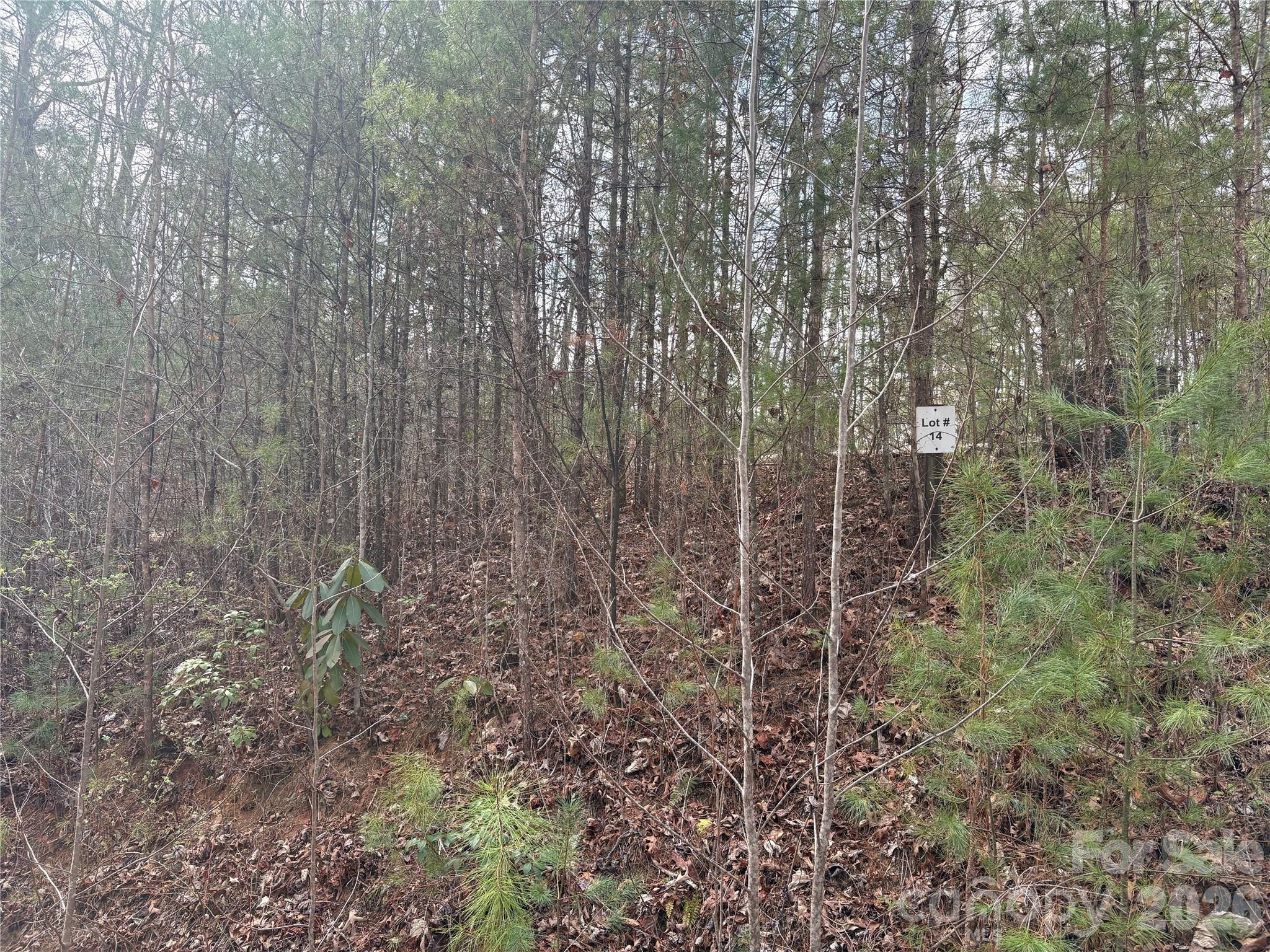 00 Round Hill Road 14 Property Photo 24