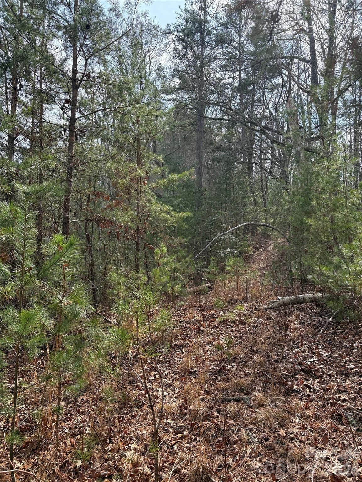 00 Round Hill Road 14 Property Photo 25