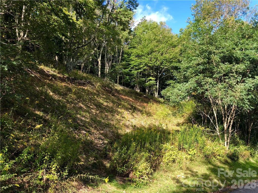 Tbd Wakeman Way Property Photo 5