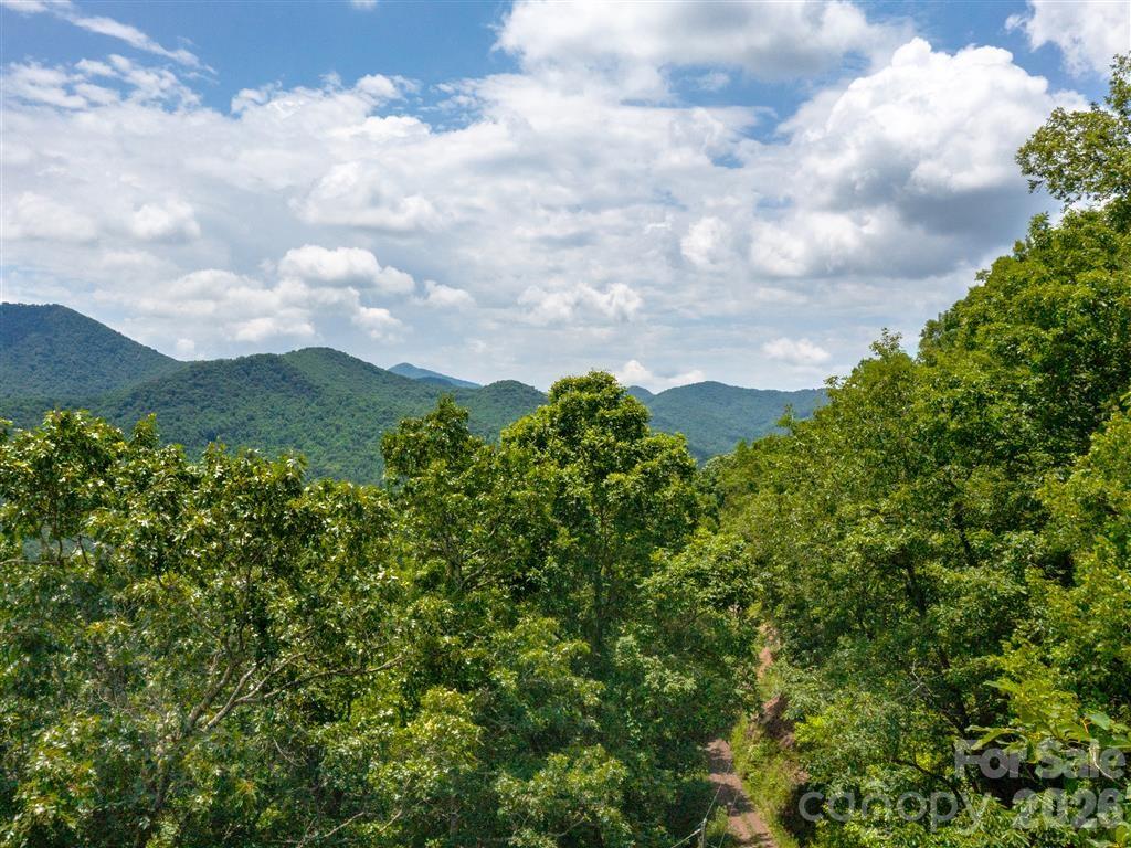 21 Long Winding Road 4,5