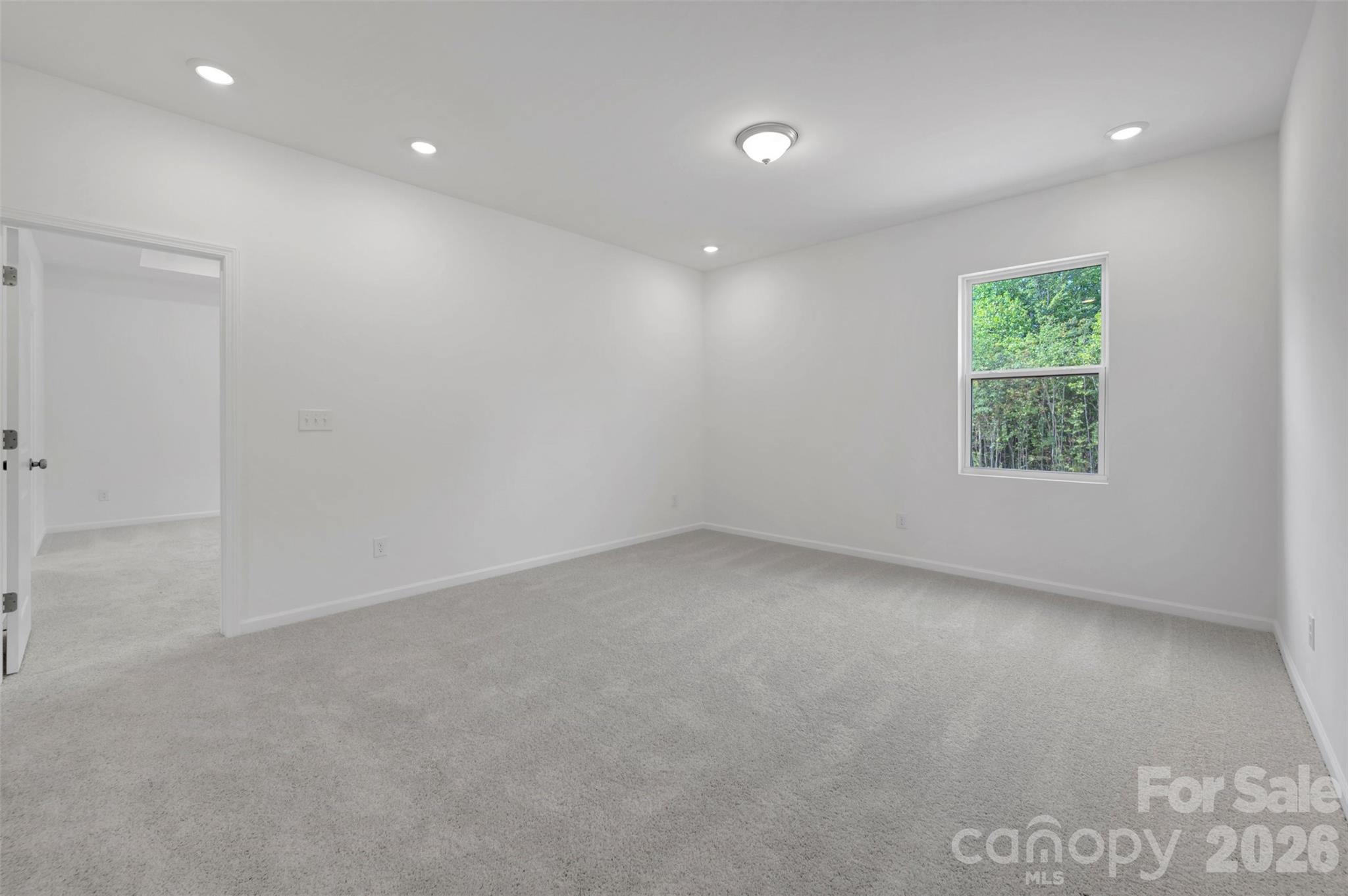 221 Amber Glen Drive Property Photo 22