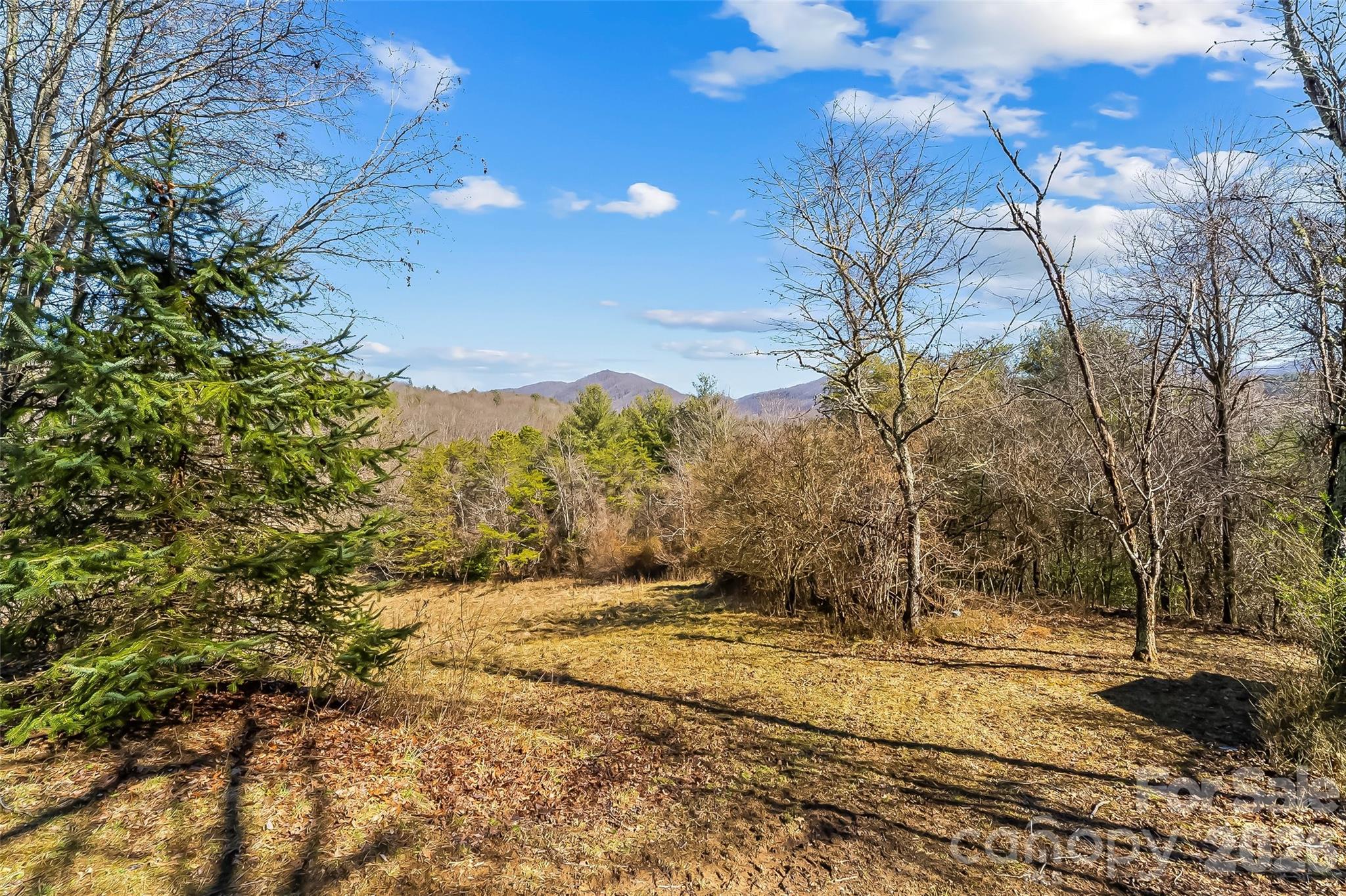 350 Sandy Bottom Road Property Photo 18