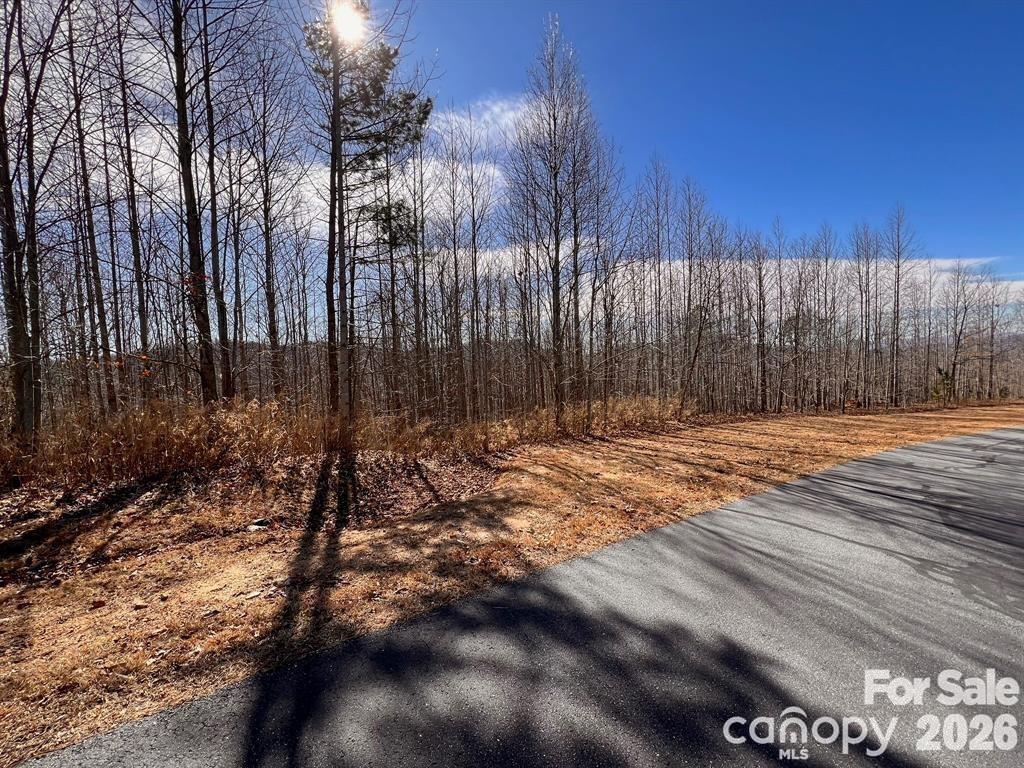 V/l 244 Scenic Vista Drive Property Photo 10