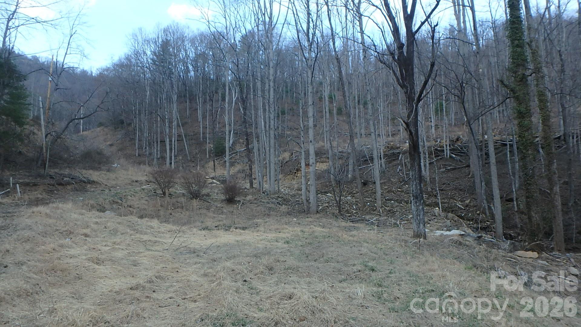4696 Nc Hwy 226a Highway Property Photo 5