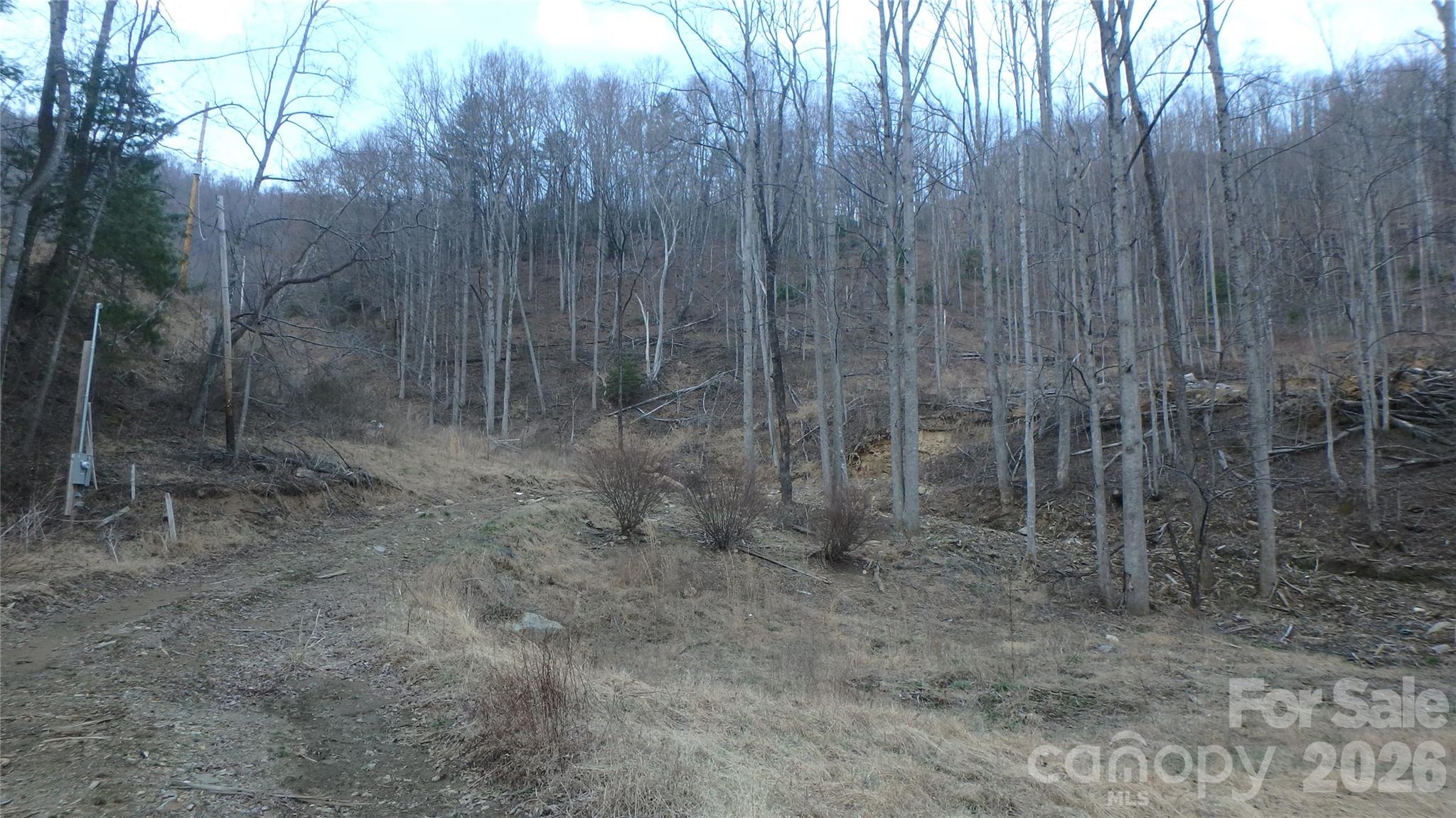 4696 Nc Hwy 226a Highway Property Photo 6