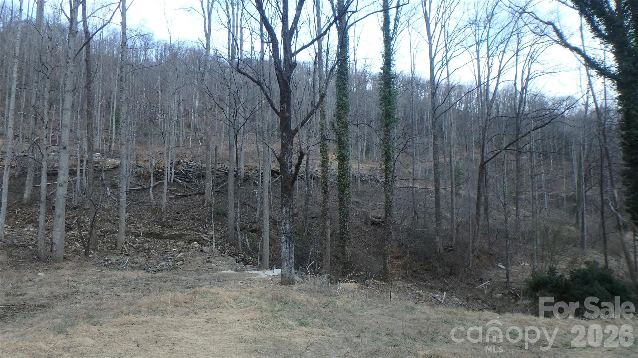 4696 Nc Hwy 226a Highway Property Photo 7