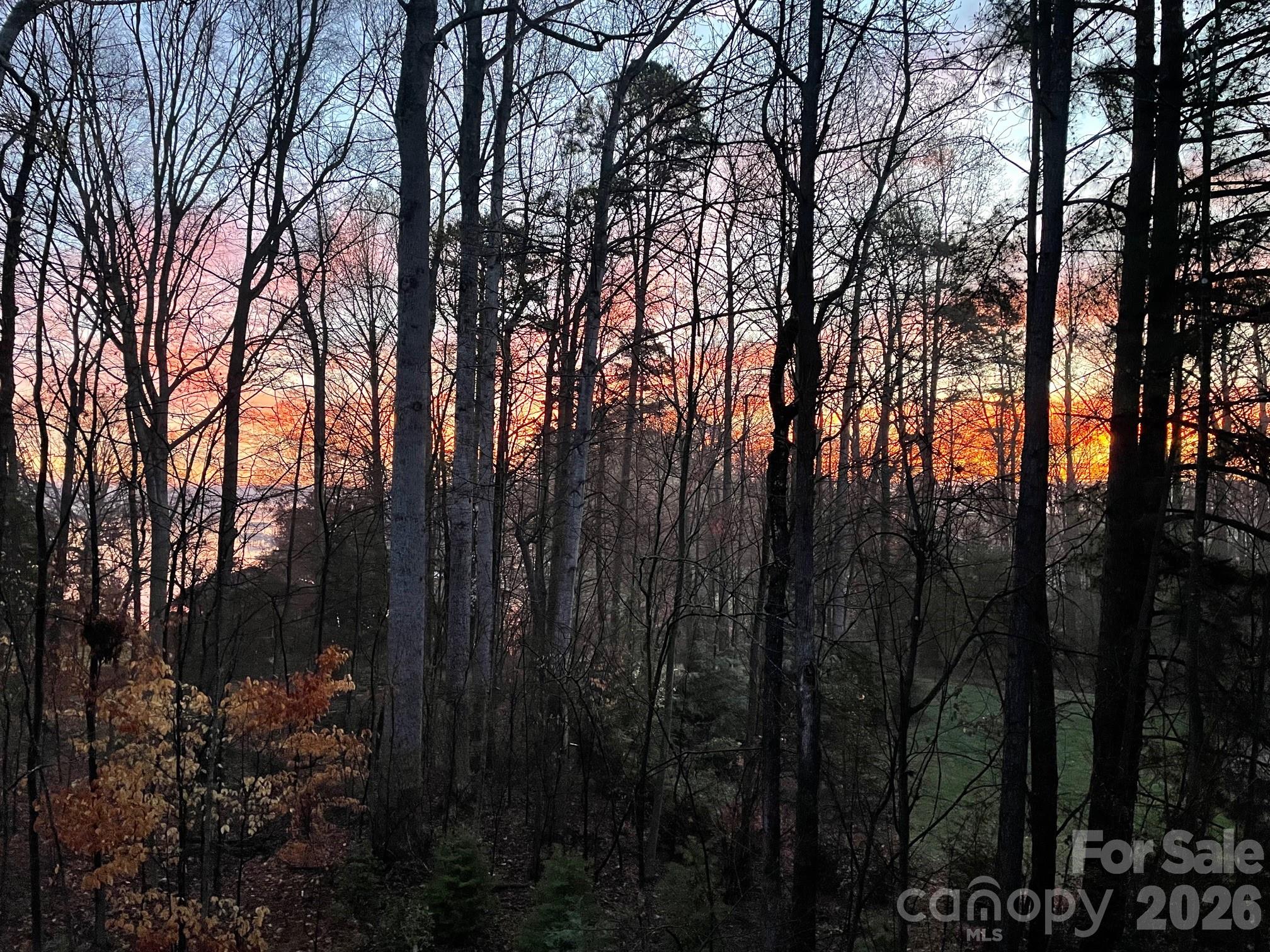 2866 Backwoods Trail Property Photo 43