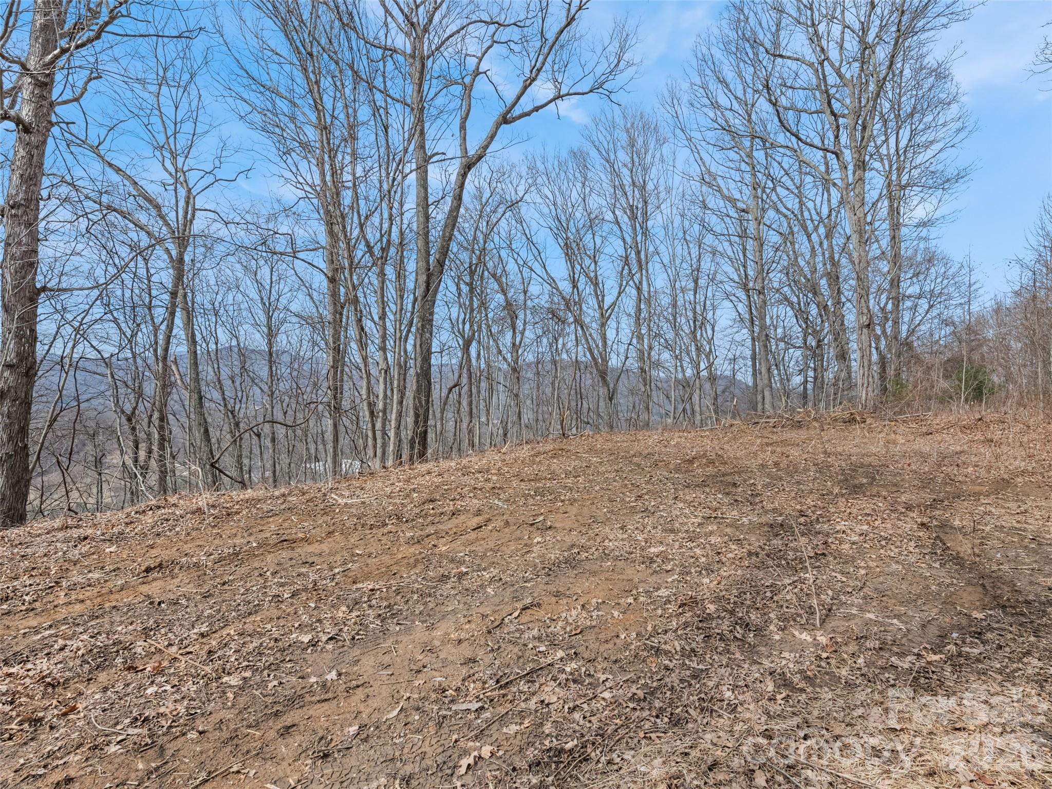 Lot #3 Viewpoint Mountain Property Photo 5
