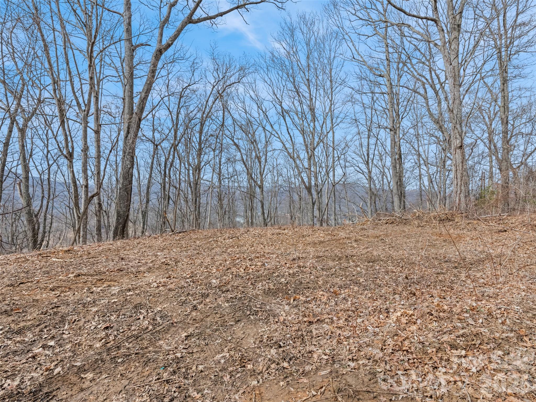 Lot #3 Viewpoint Mountain Property Photo 6