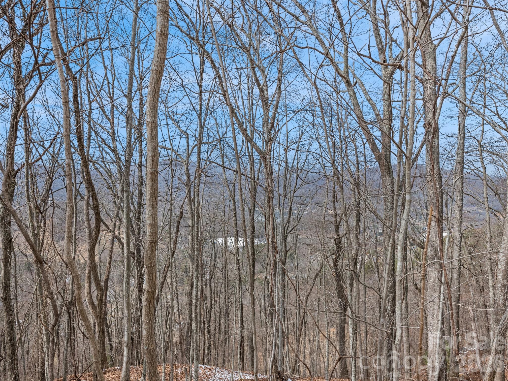 Lot #3 Viewpoint Mountain Property Photo 7