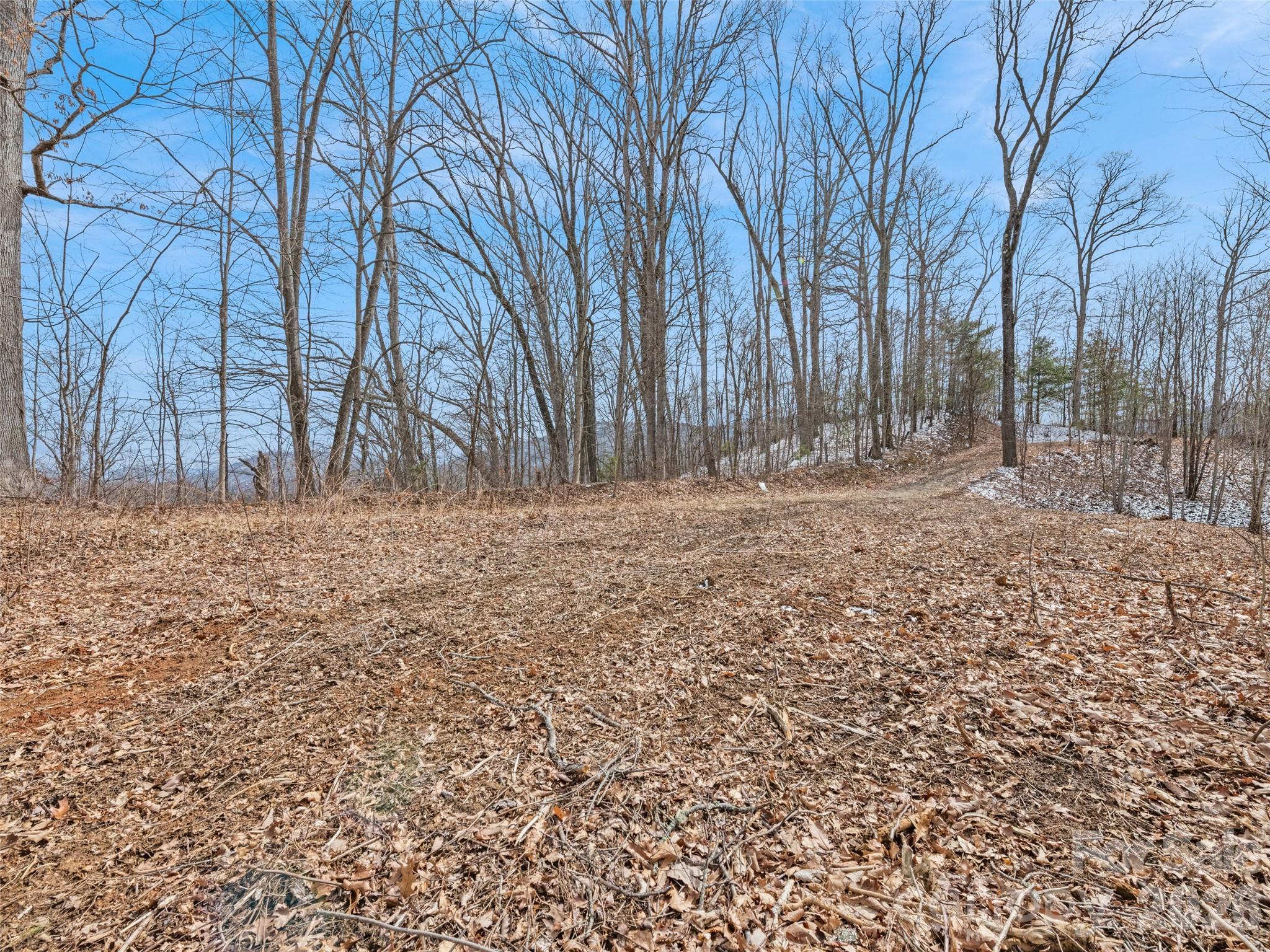 Lot #3 Viewpoint Mountain Property Photo 8