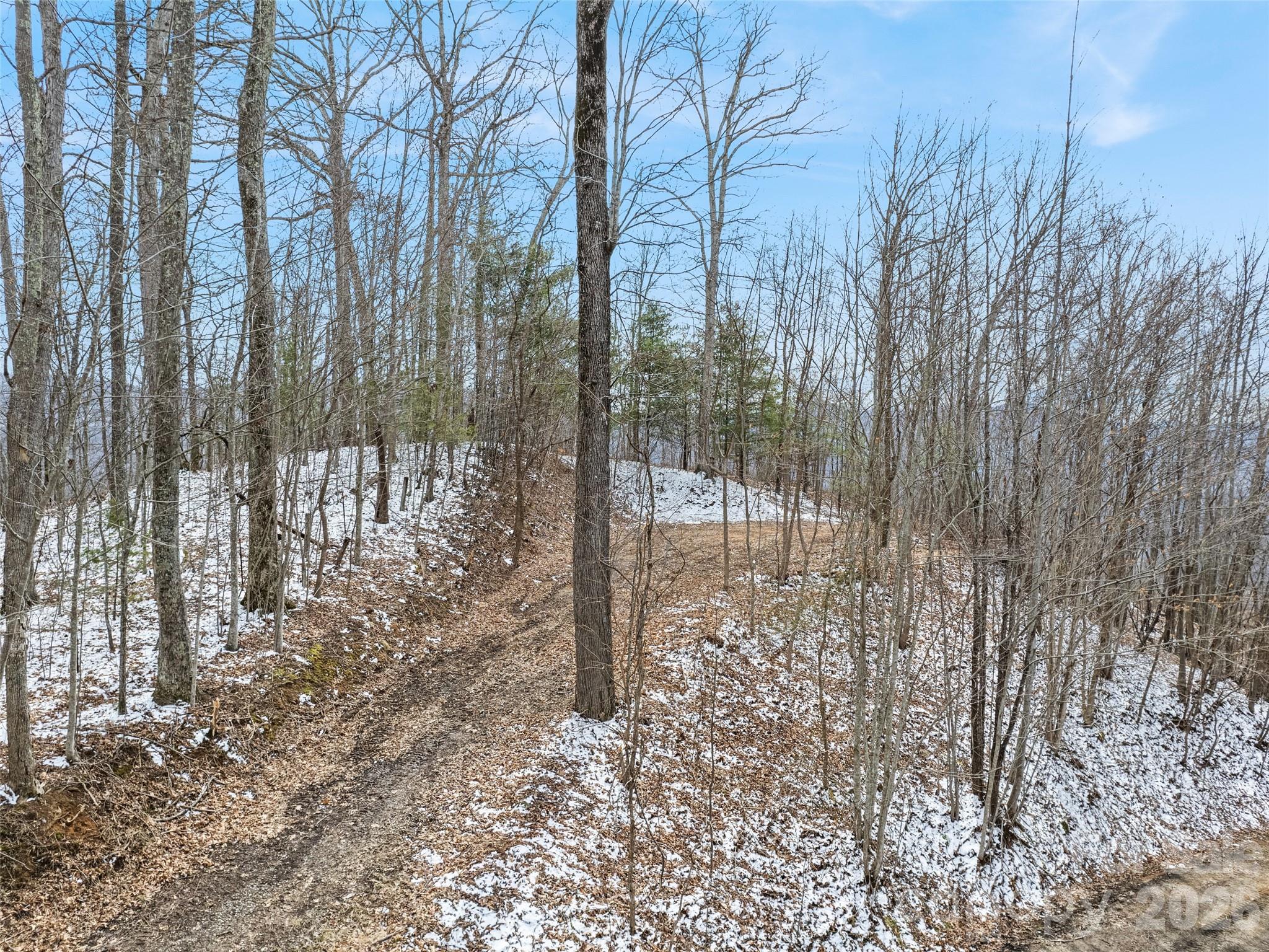 Lot #4 Viewpoint Mountain Property Photo 2