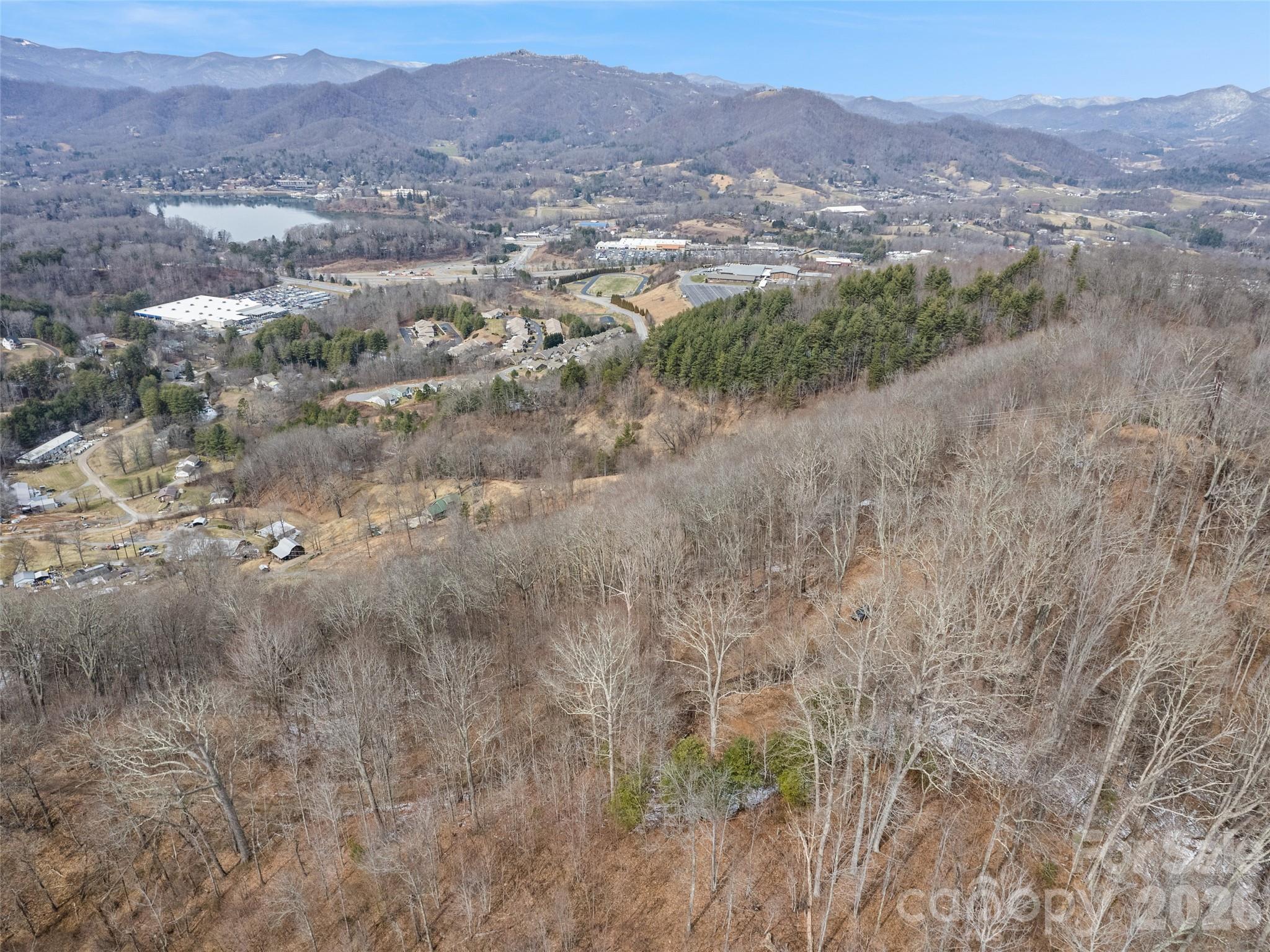 Lot #4 Viewpoint Mountain Property Photo 4