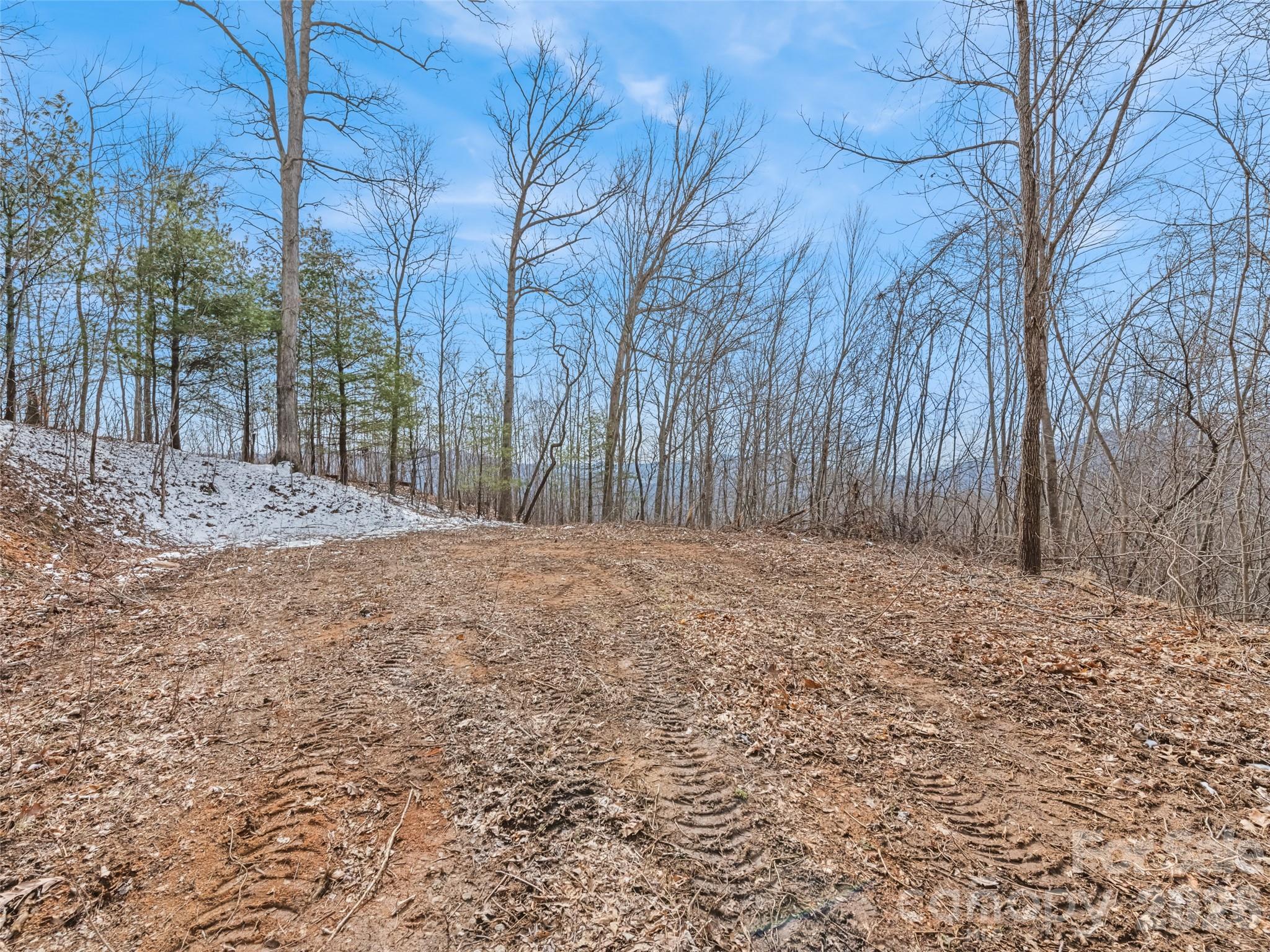 Lot #4 Viewpoint Mountain Property Photo 5