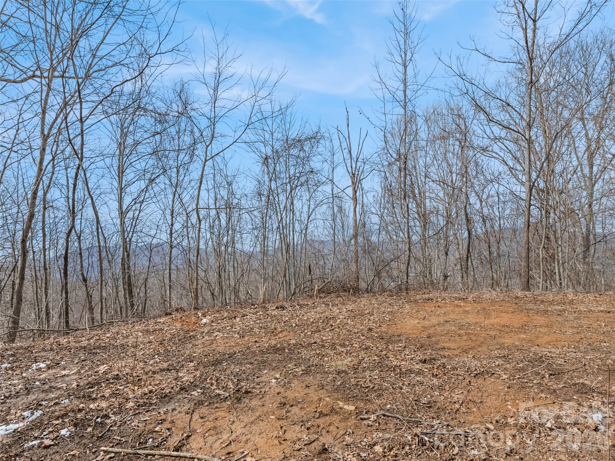 Lot #4 Viewpoint Mountain Property Photo 6