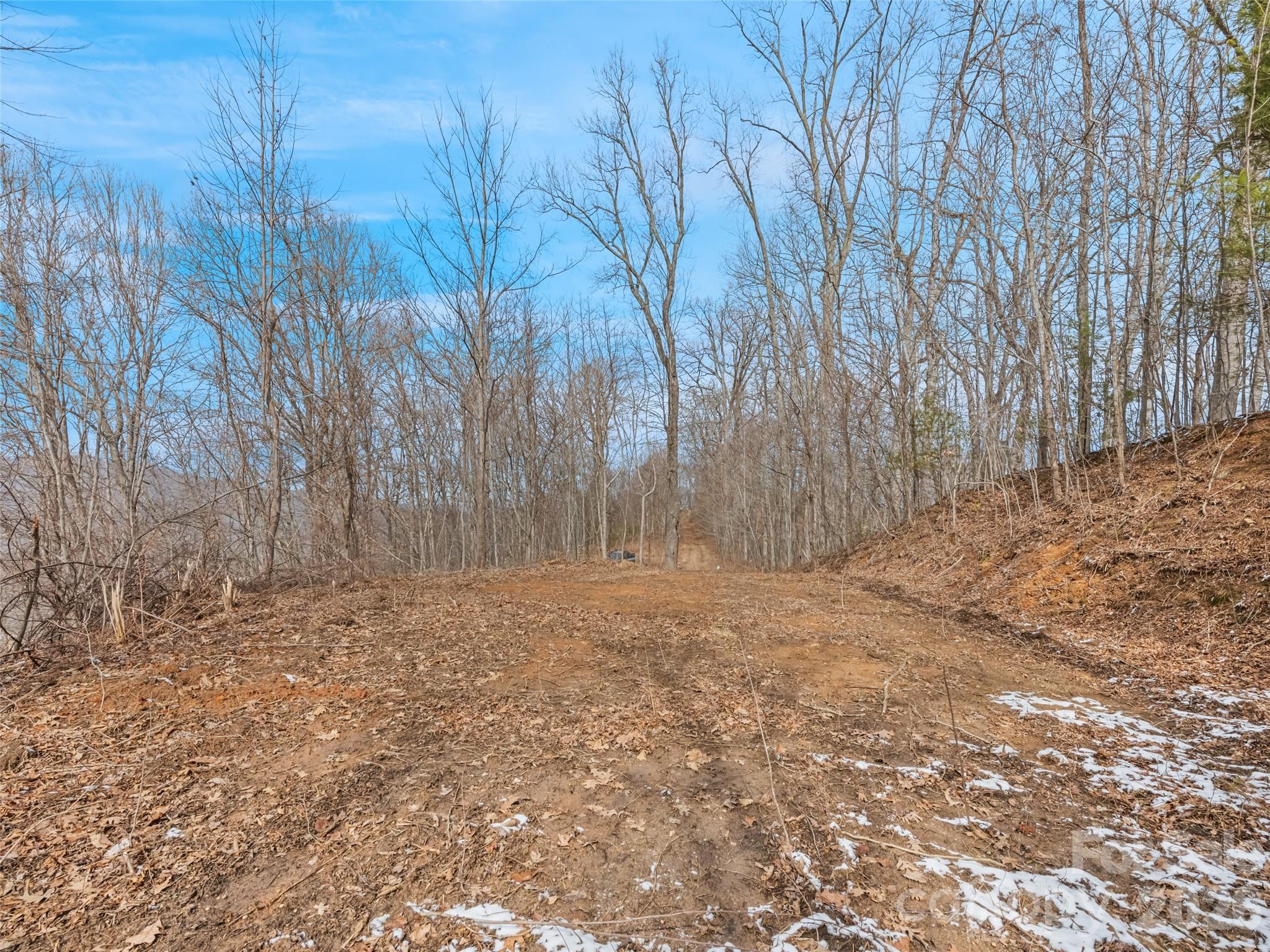 Lot #4 Viewpoint Mountain Property Photo 7