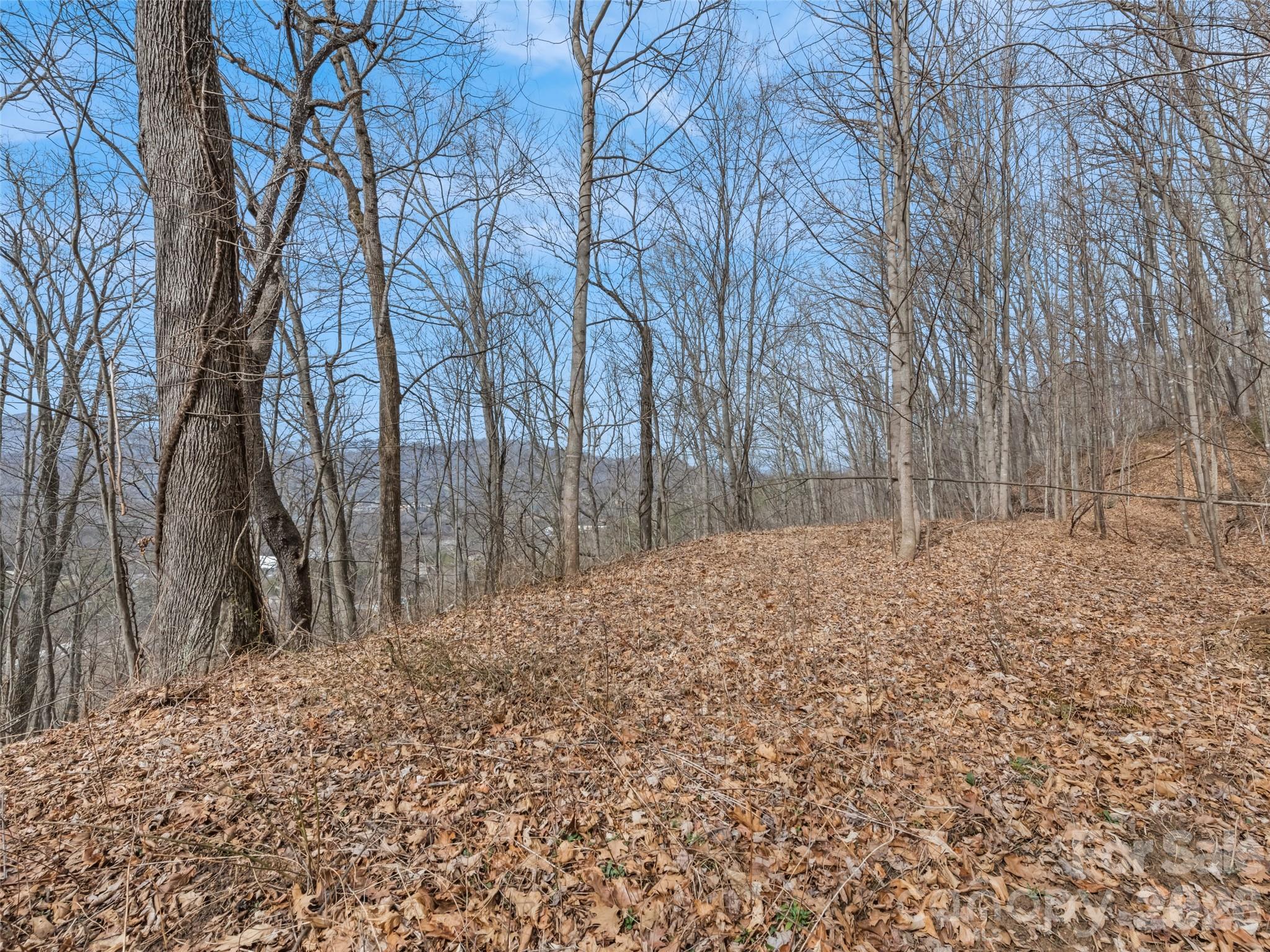 Lot #5 Viewpoint Mountain Property Photo 7