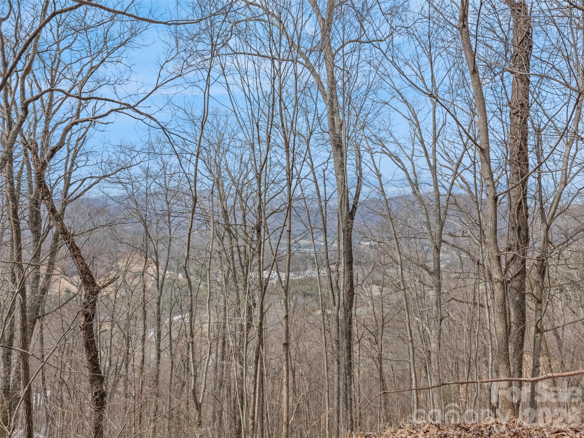 Lot #5 Viewpoint Mountain Property Photo 8