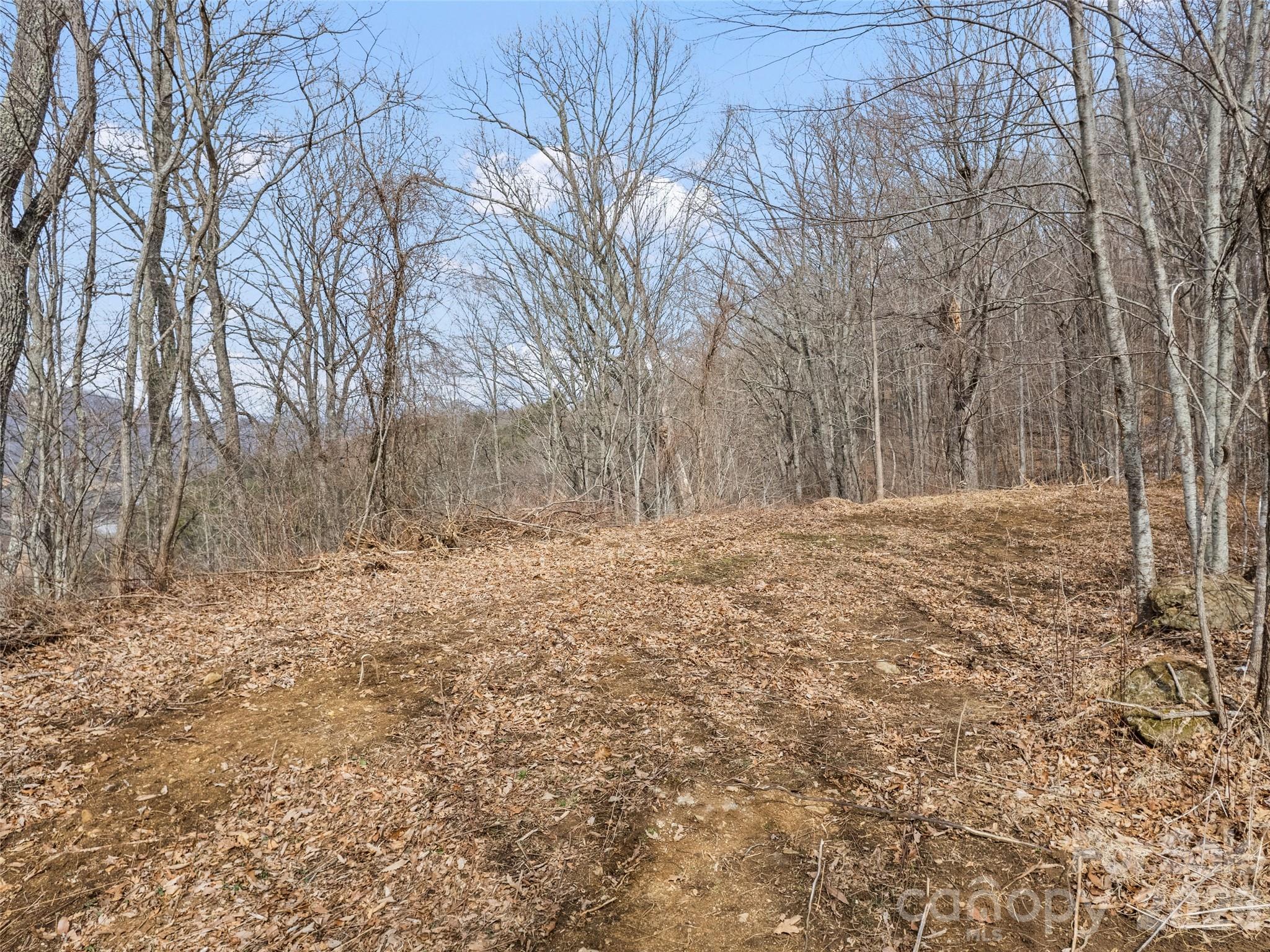 Lots #6 And 7 Viewpoint Mountain Property Photo 6