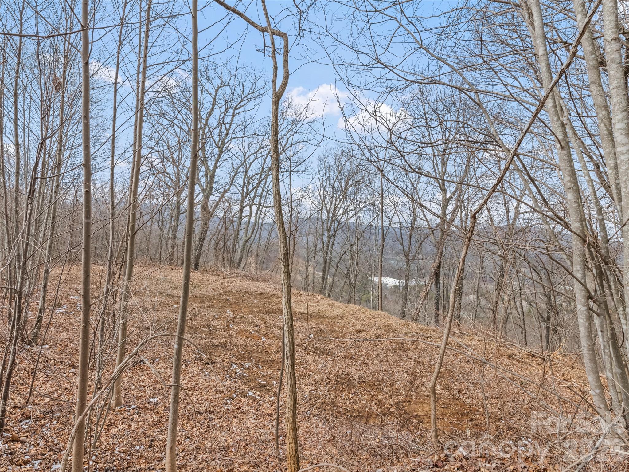 Lots #6 And 7 Viewpoint Mountain Property Photo 7