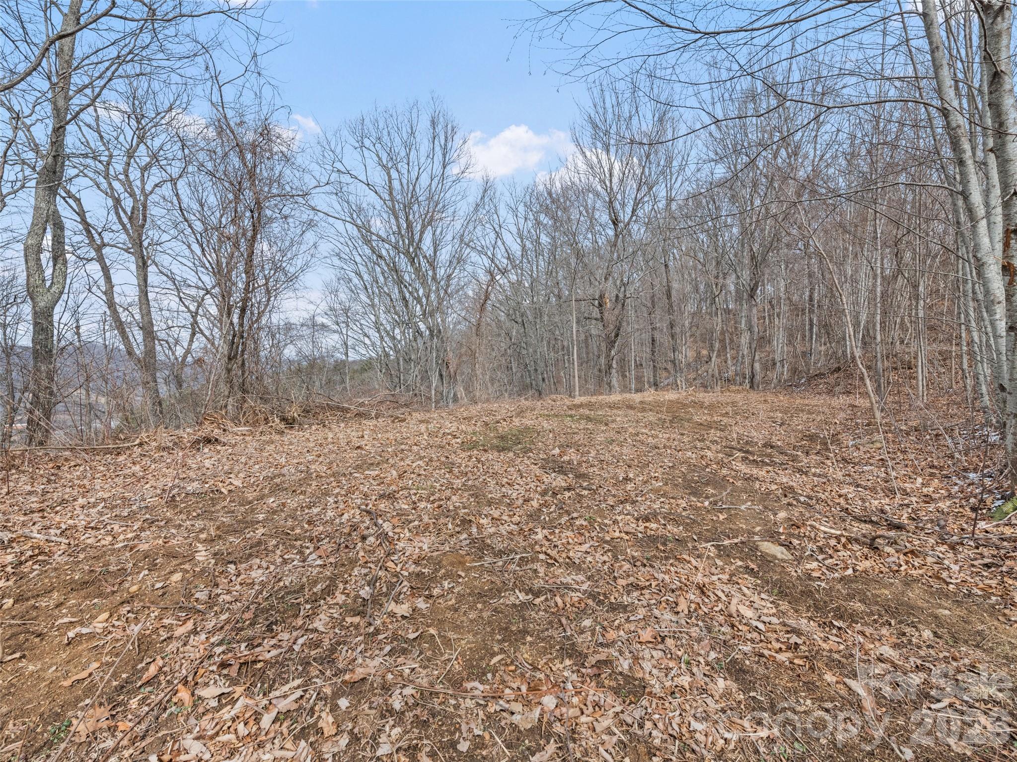 Lots #6 And 7 Viewpoint Mountain Property Photo 8