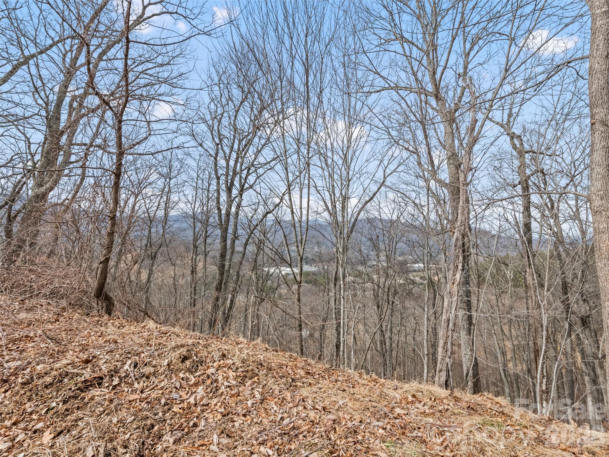 Lots #6 And 7 Viewpoint Mountain Property Photo 10