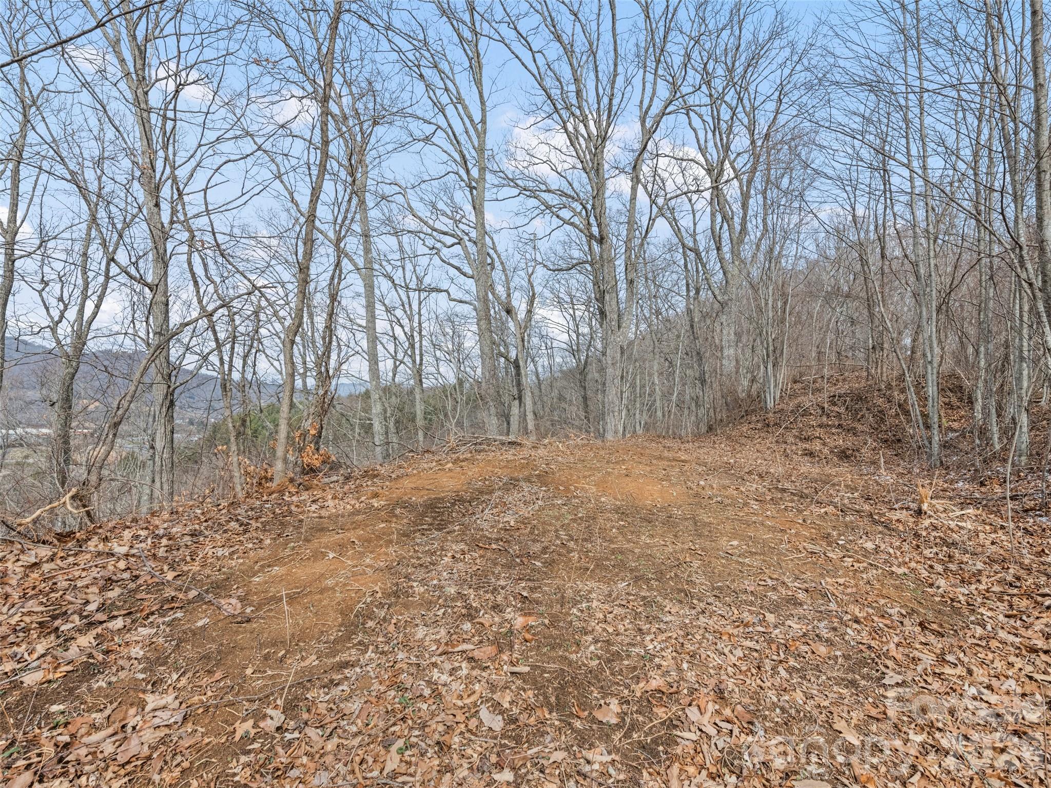 Lots #6 And 7 Viewpoint Mountain Property Photo 11