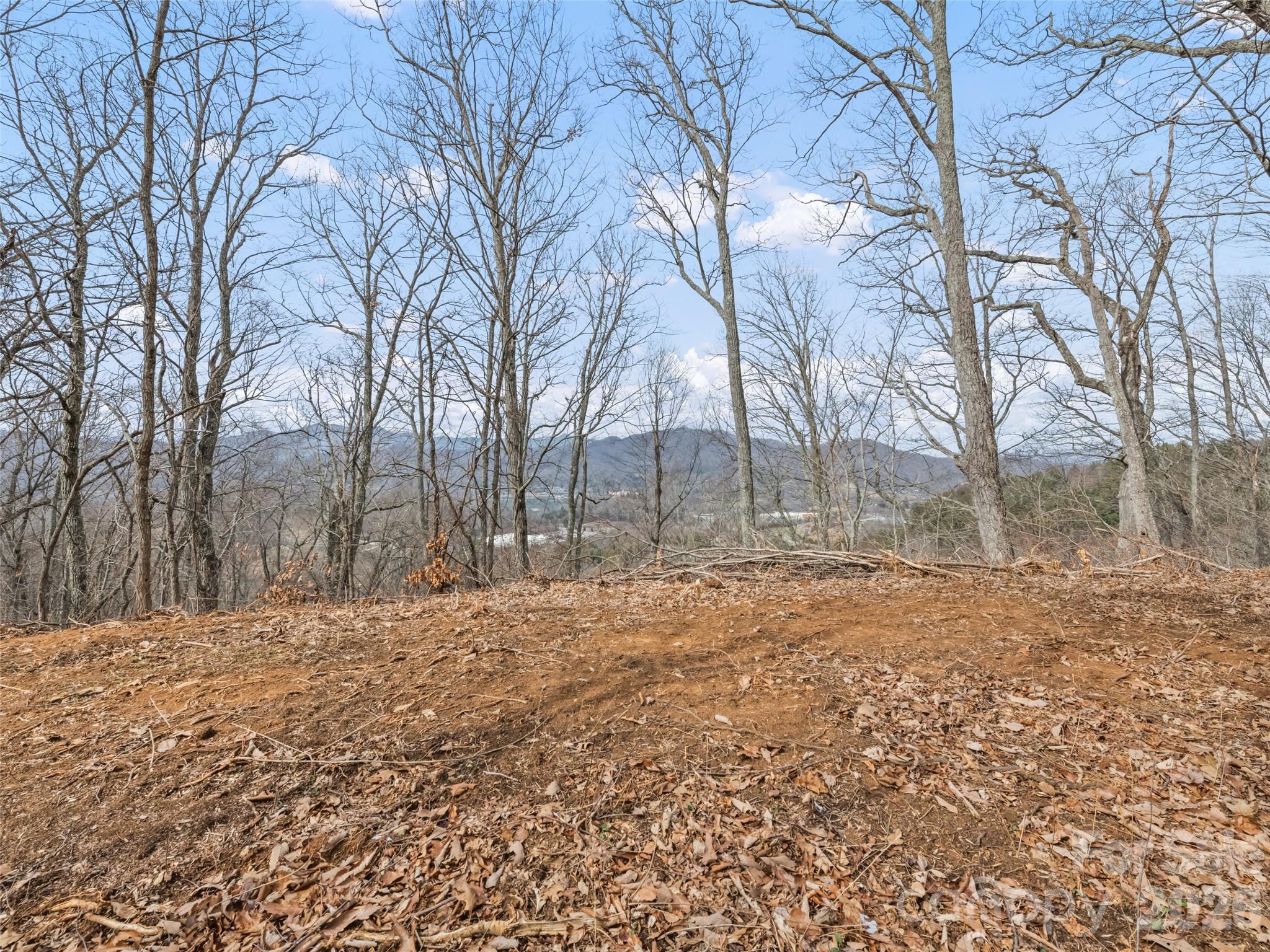 Lots #6 And 7 Viewpoint Mountain Property Photo 12