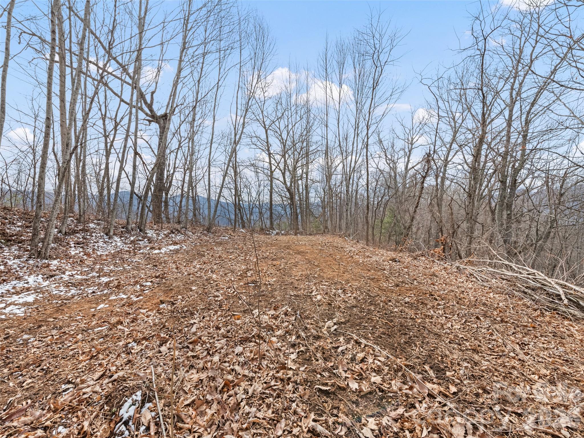 Lots #6 And 7 Viewpoint Mountain Property Photo 13