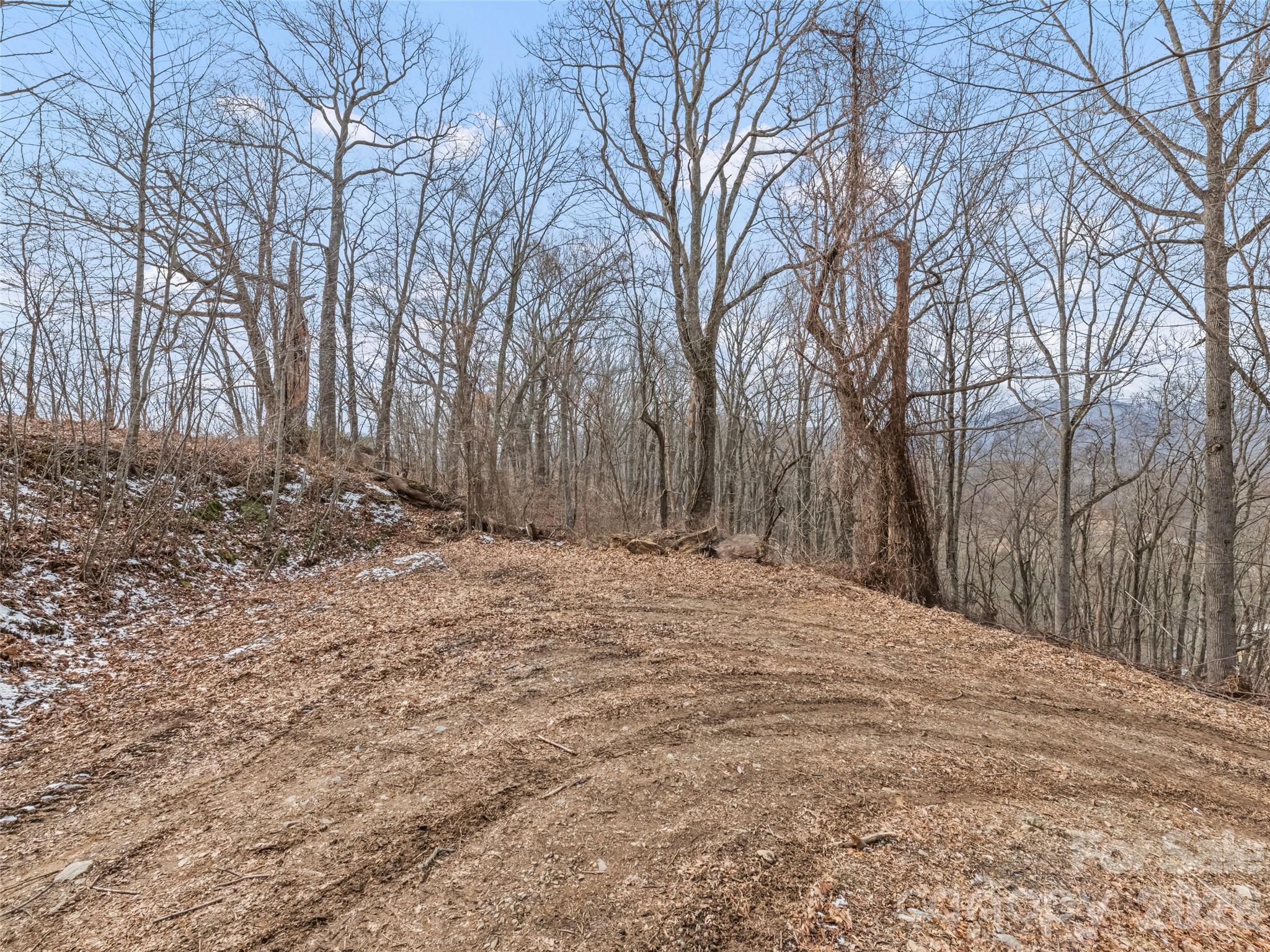 Lots #6 And 7 Viewpoint Mountain Property Photo 15