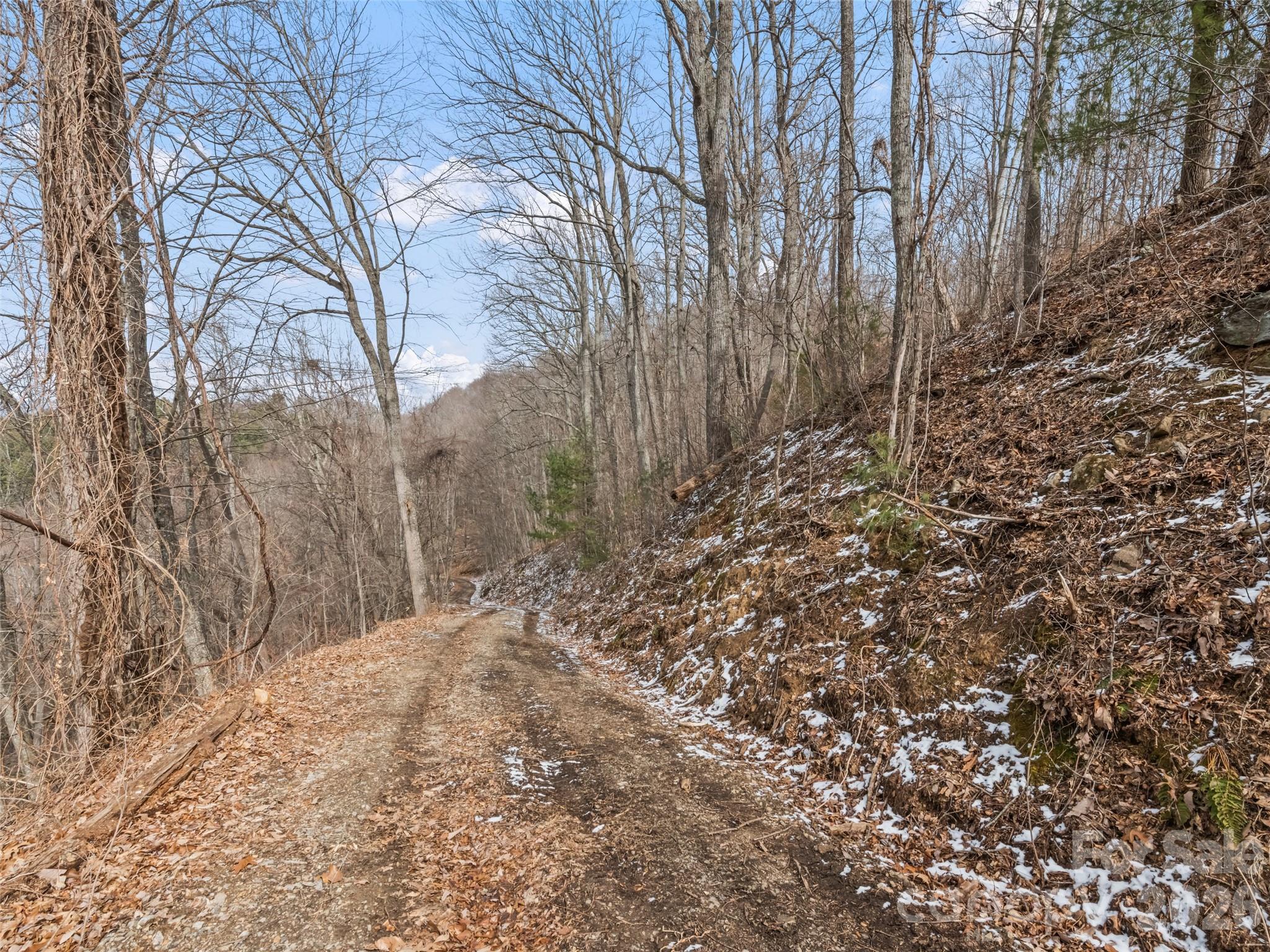 Lots #6 And 7 Viewpoint Mountain Property Photo 16