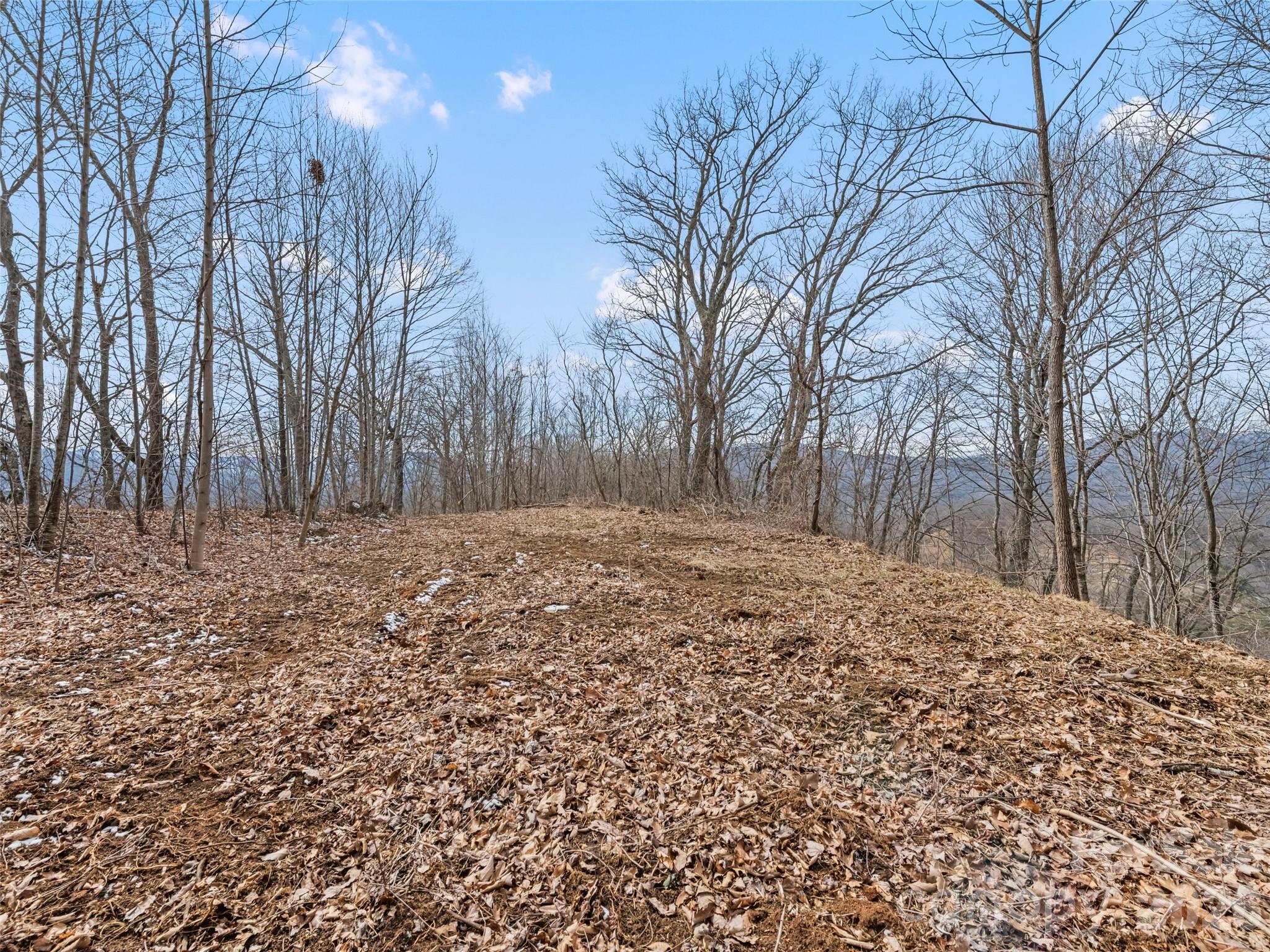 Lots #6 And 7 Viewpoint Mountain Property Photo 23