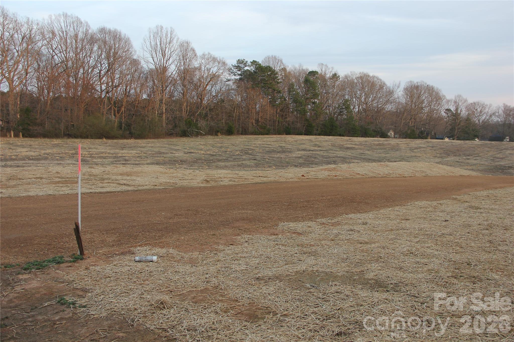 6310 Pagemont Road Property Photo 19
