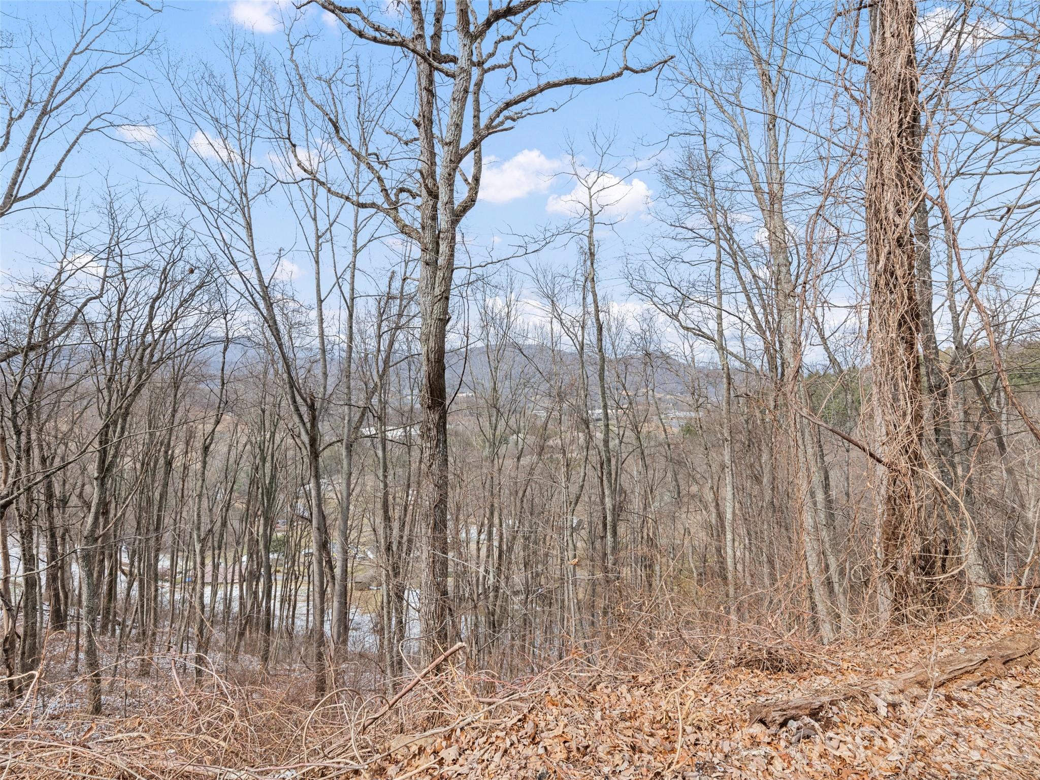 Lot #8 Viewpoint Mountain Property Photo 4