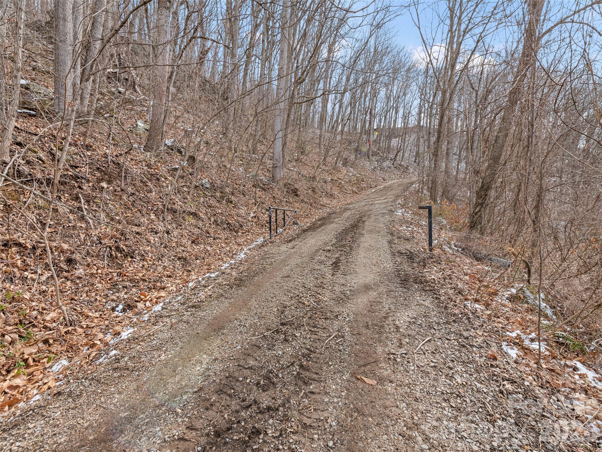 Lot #8 Viewpoint Mountain Property Photo 5