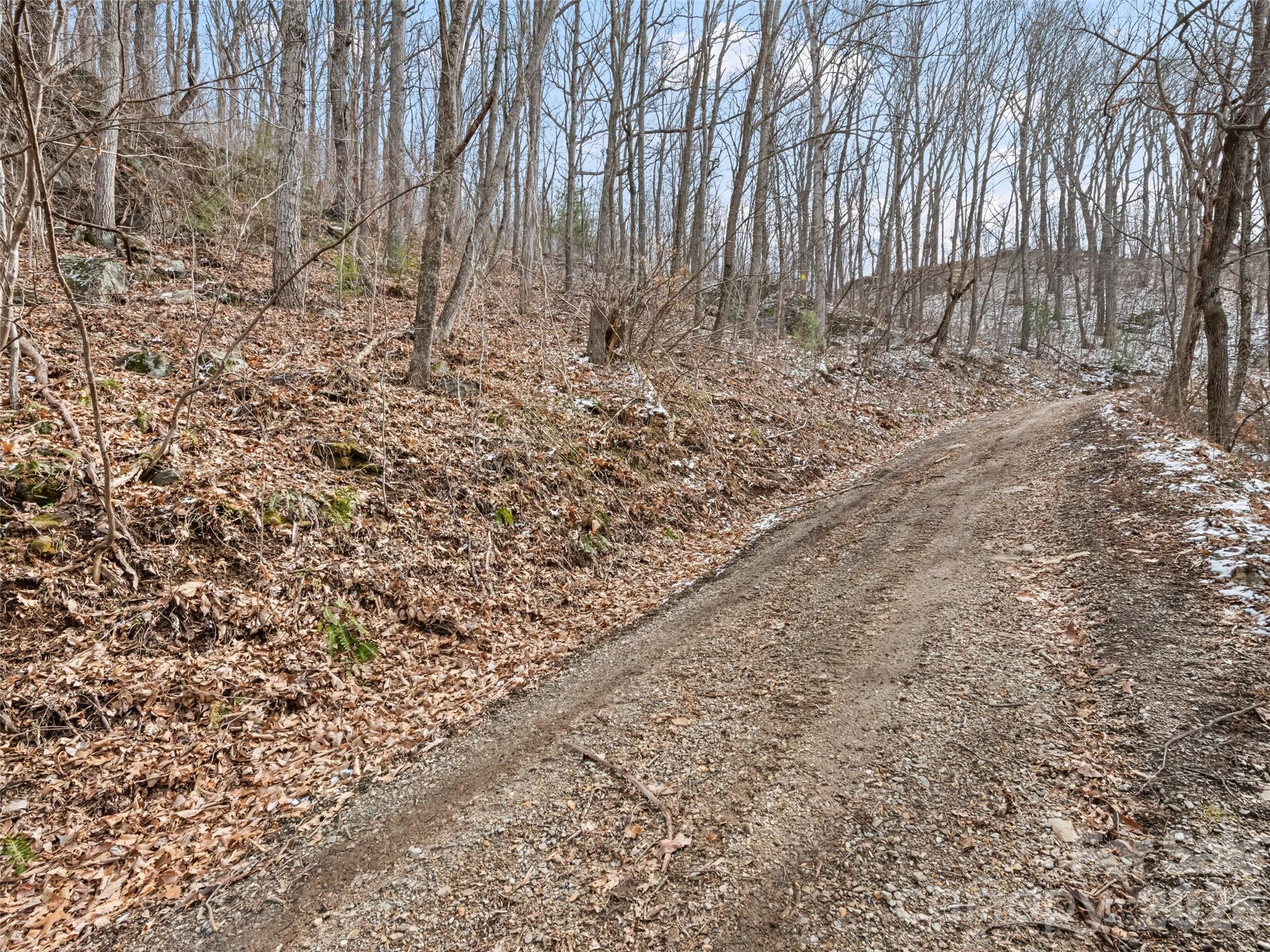 Lot #8 Viewpoint Mountain Property Photo 6