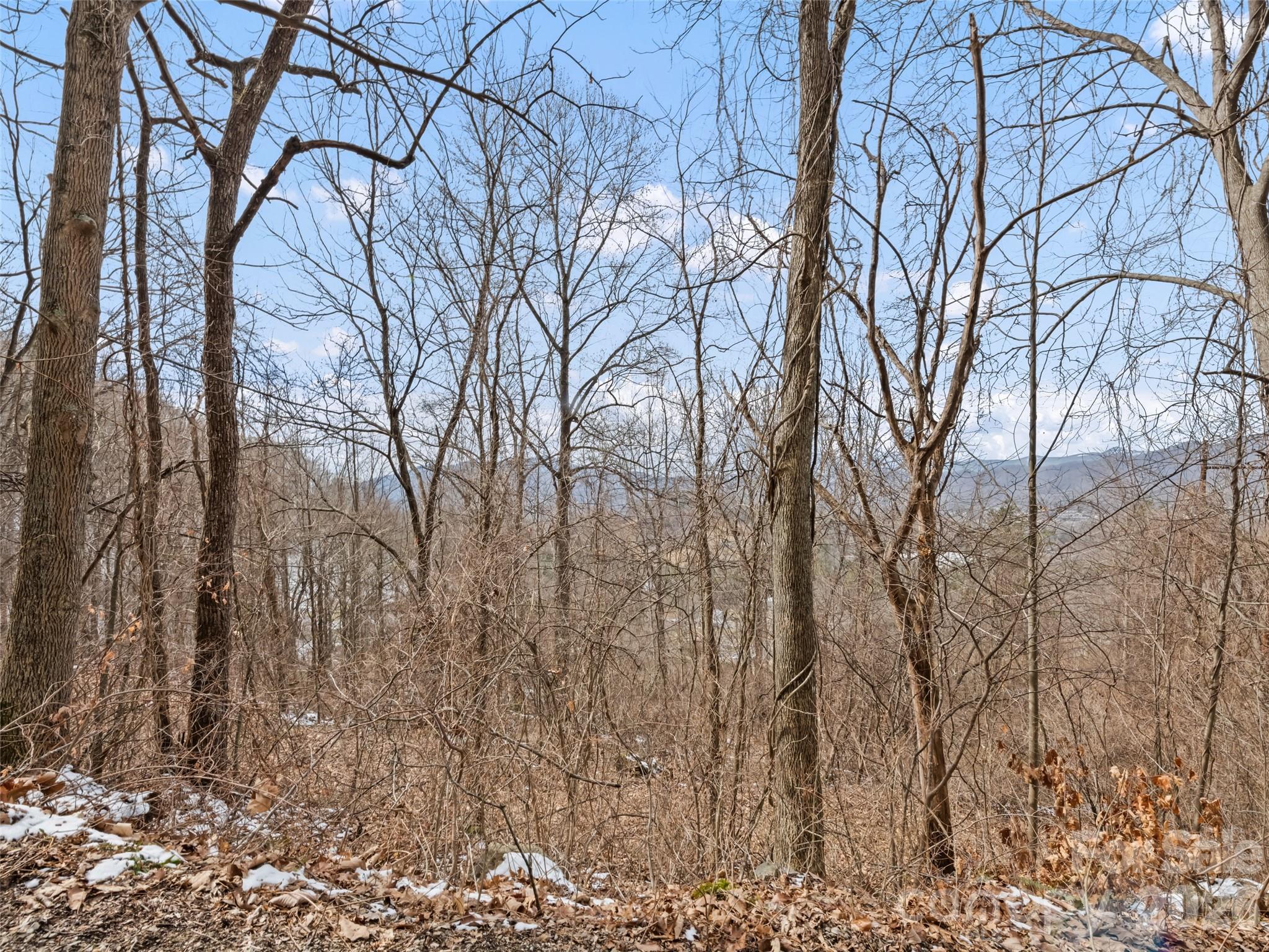 Lot #8 Viewpoint Mountain Property Photo 7