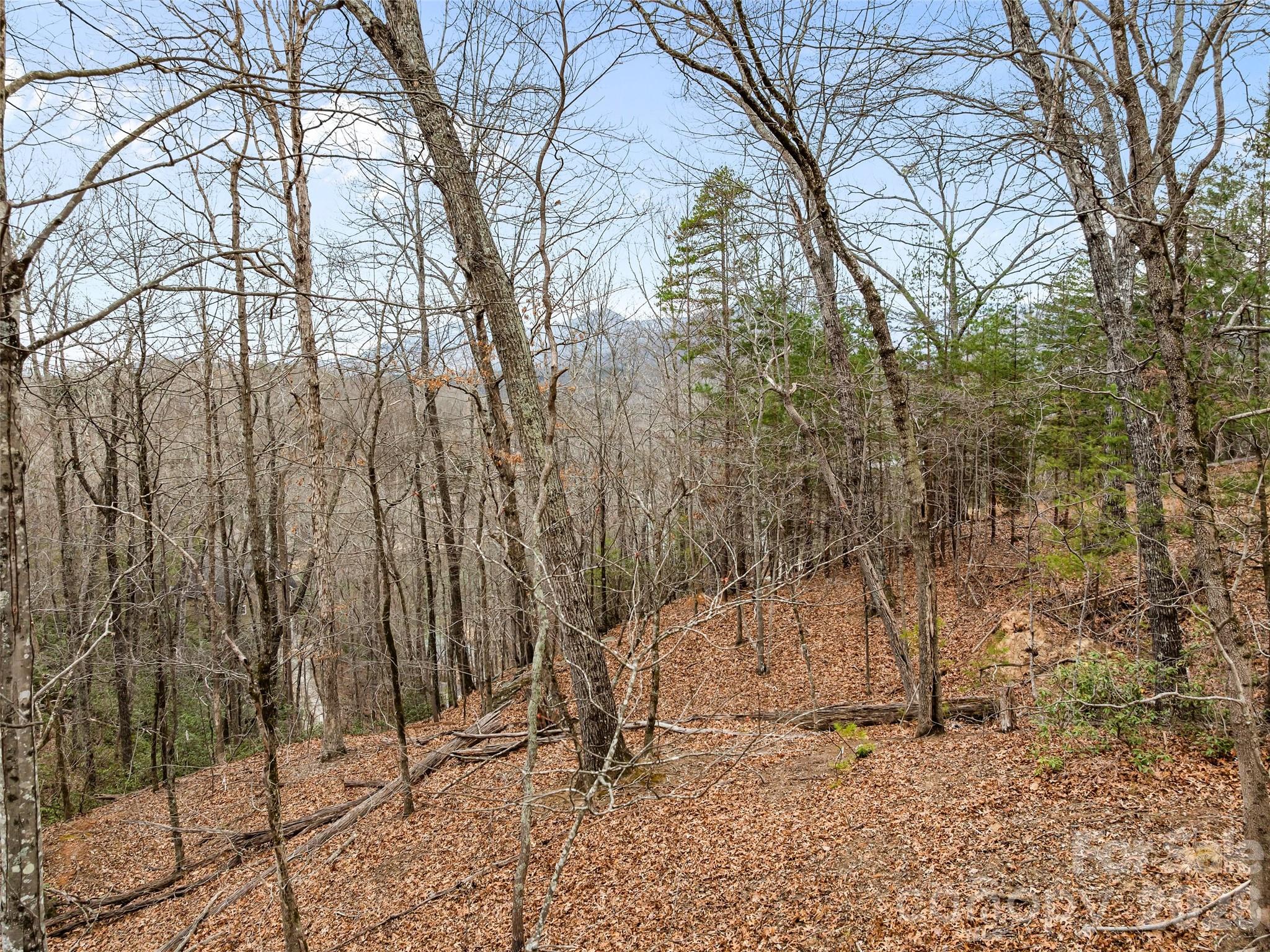 0 Buffalo Shoals Road Tract Iv, Lot 25 Property Photo 16