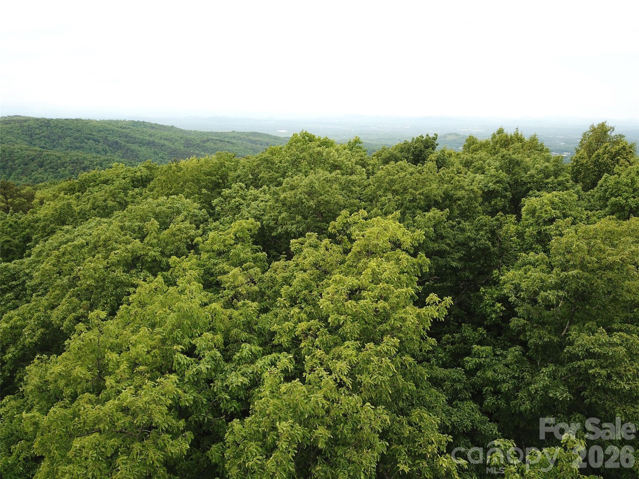 0 Hildebran Mountain Avenue Property Photo 2
