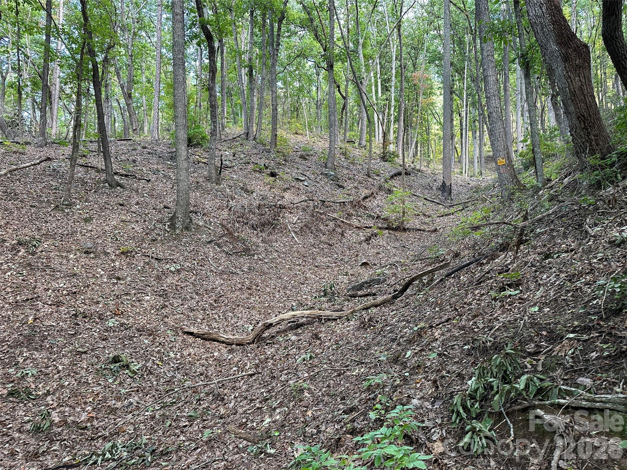 0 Hildebran Mountain Avenue Property Photo 3