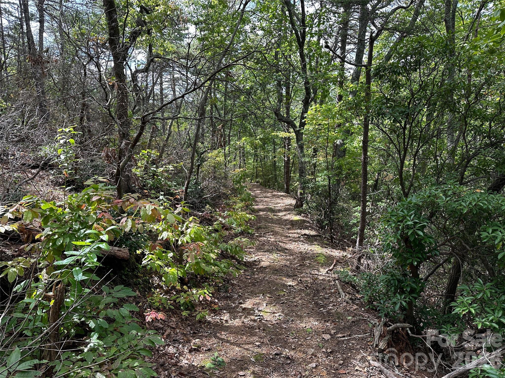 0 Hildebran Mountain Avenue Property Photo 4