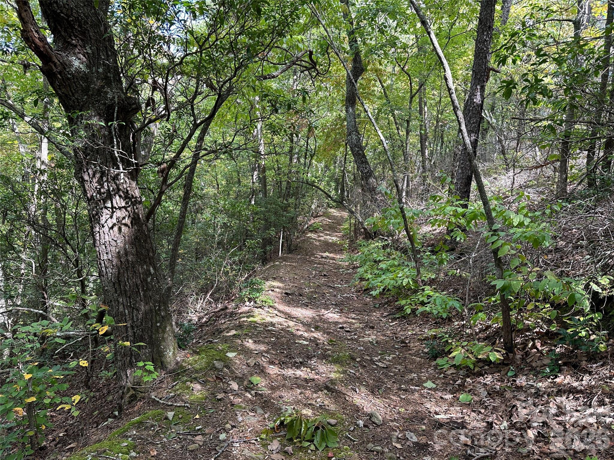 0 Hildebran Mountain Avenue Property Photo 6