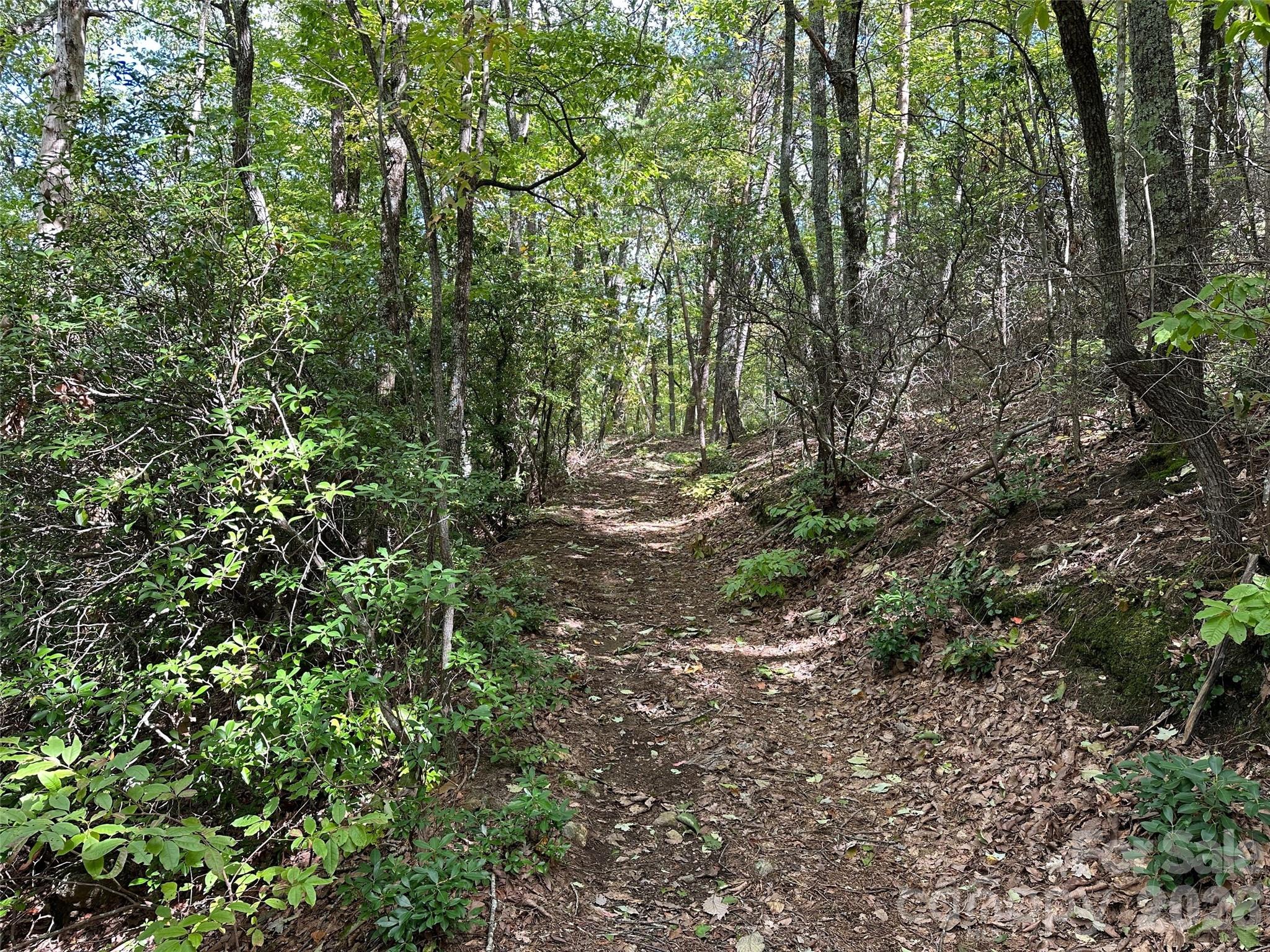 0 Hildebran Mountain Avenue Property Photo 8