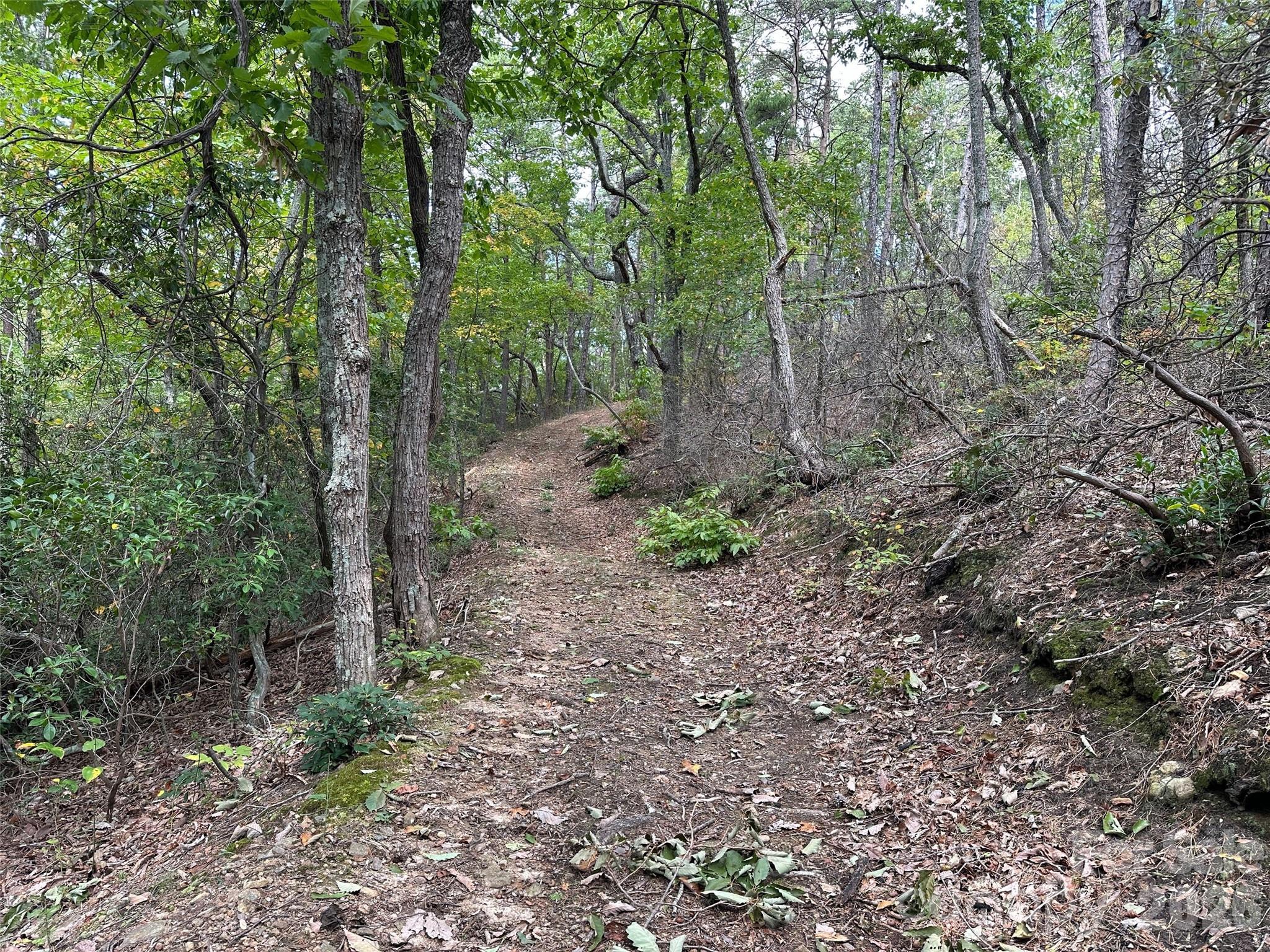 0 Hildebran Mountain Avenue Property Photo 9