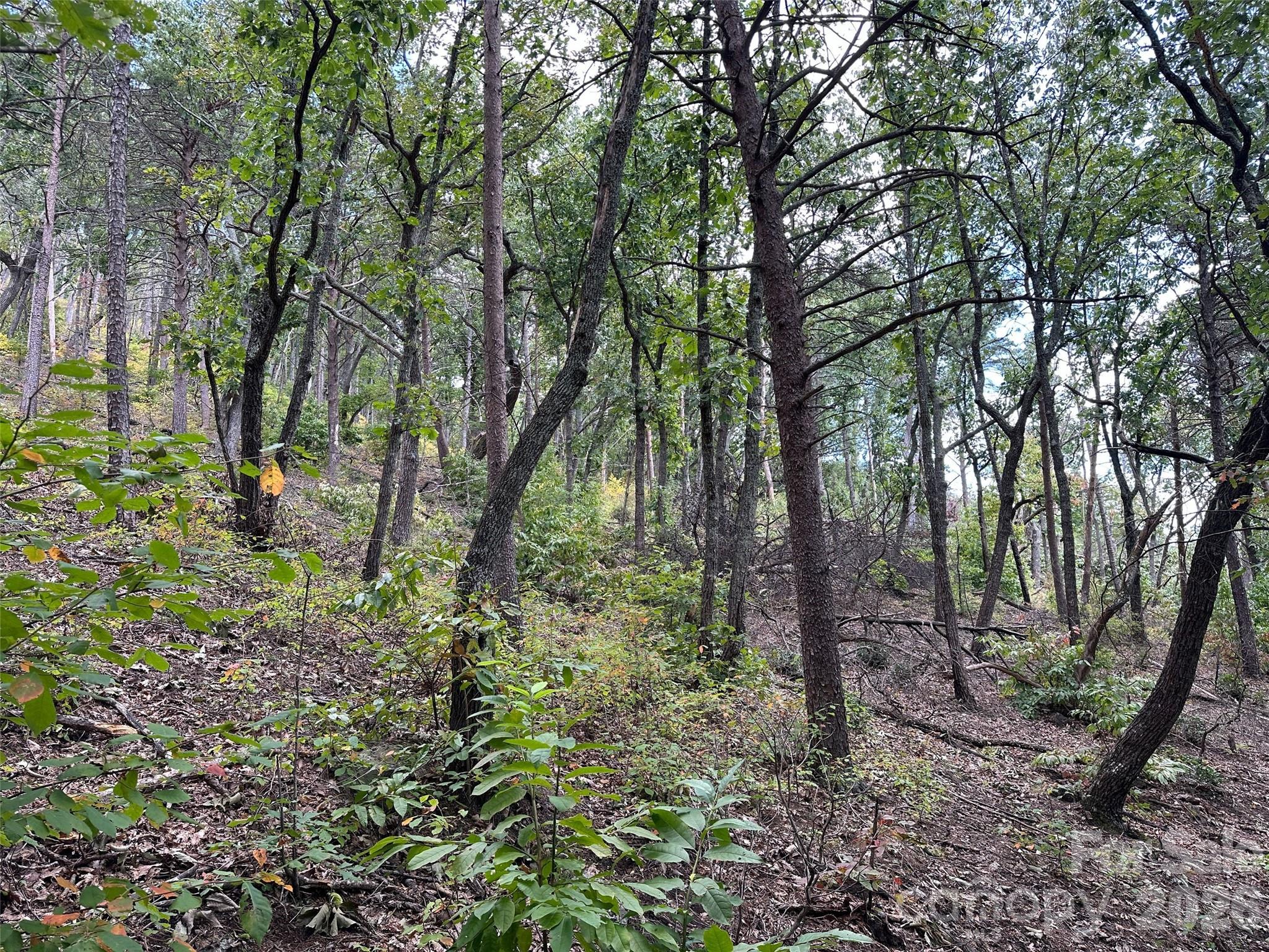 0 Hildebran Mountain Avenue Property Photo 10