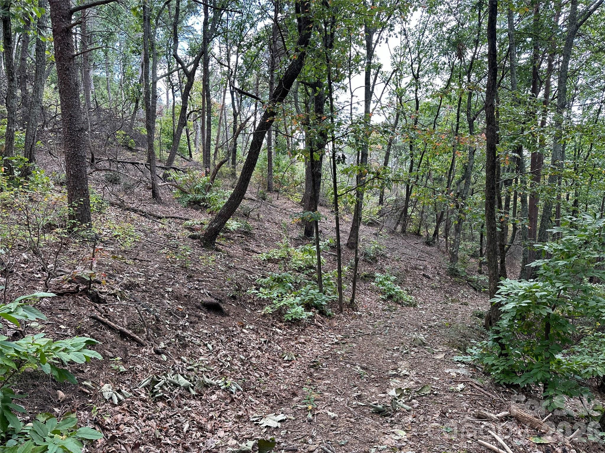 0 Hildebran Mountain Avenue Property Photo 11
